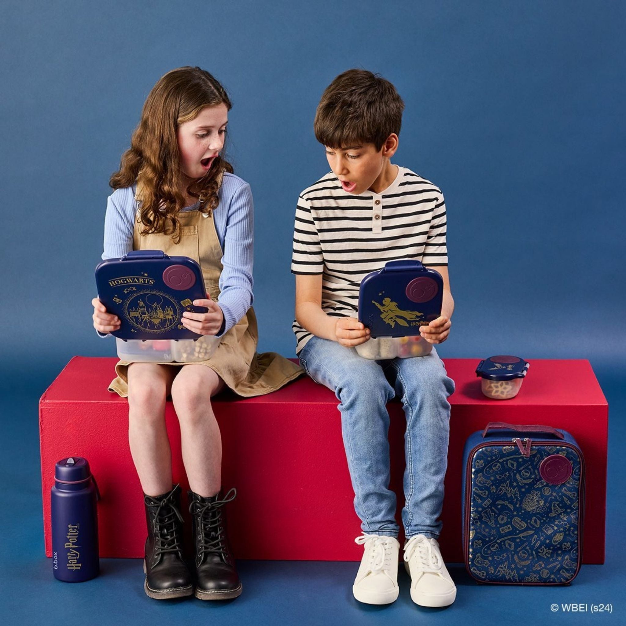 【3/25発売スタート】ランチボックス(お弁当箱)/Warner Bros. Lunchbox - Harry Potter by b.box and Batman by b.box