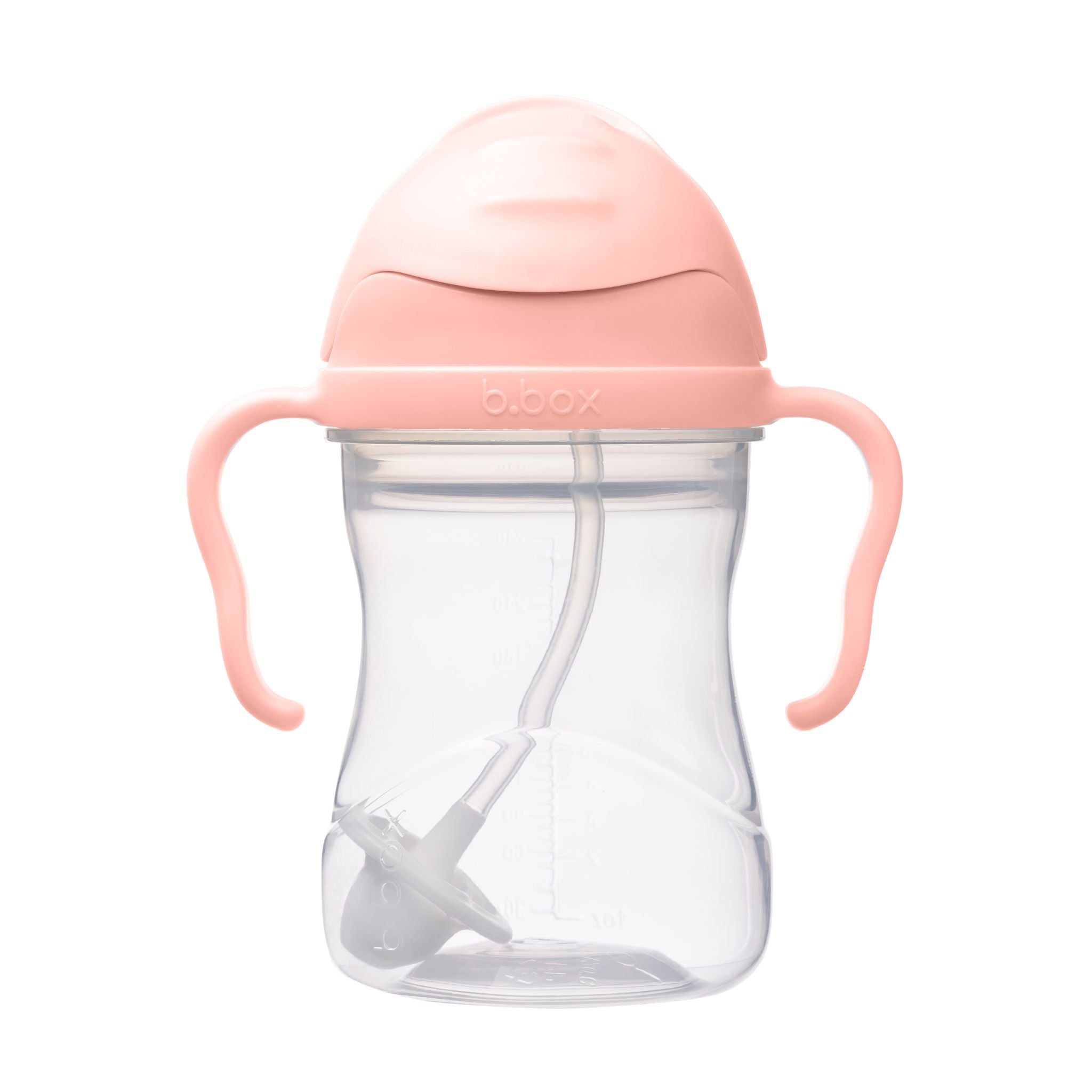 Sippy cup ストローマグ シッピーカップ