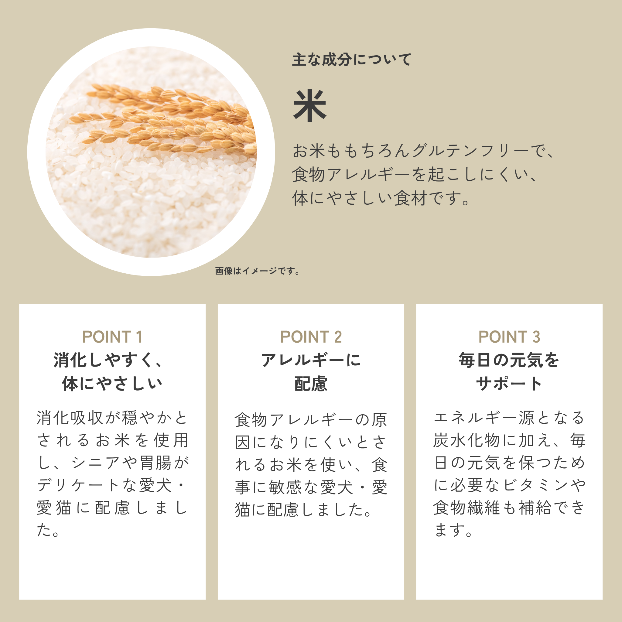 Dental Charcoal for cats 猫用デンタルチャコール