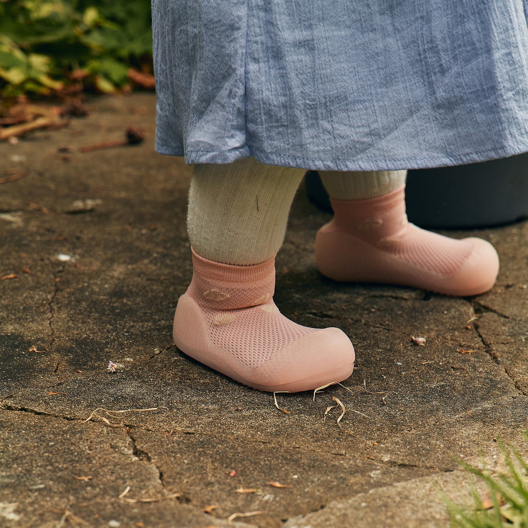 アティパス 25SS ベイビーシェル