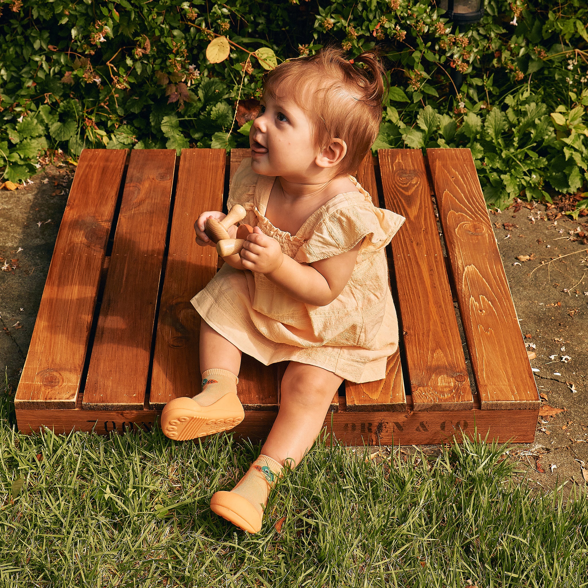 アティパス 25SS カメレオン