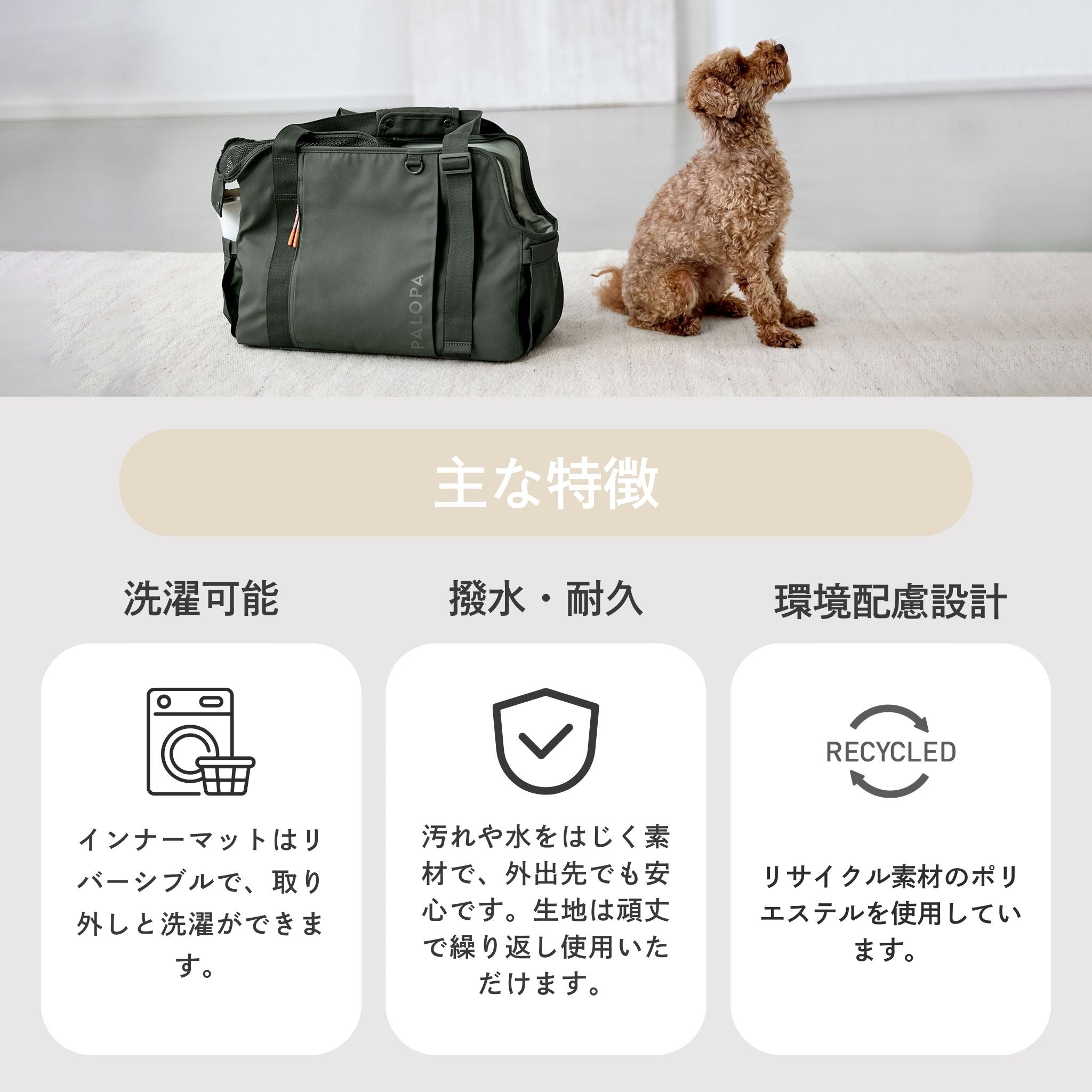 キャリーバッグ / Carrier Bag | PALOPA Japan(パロパ)