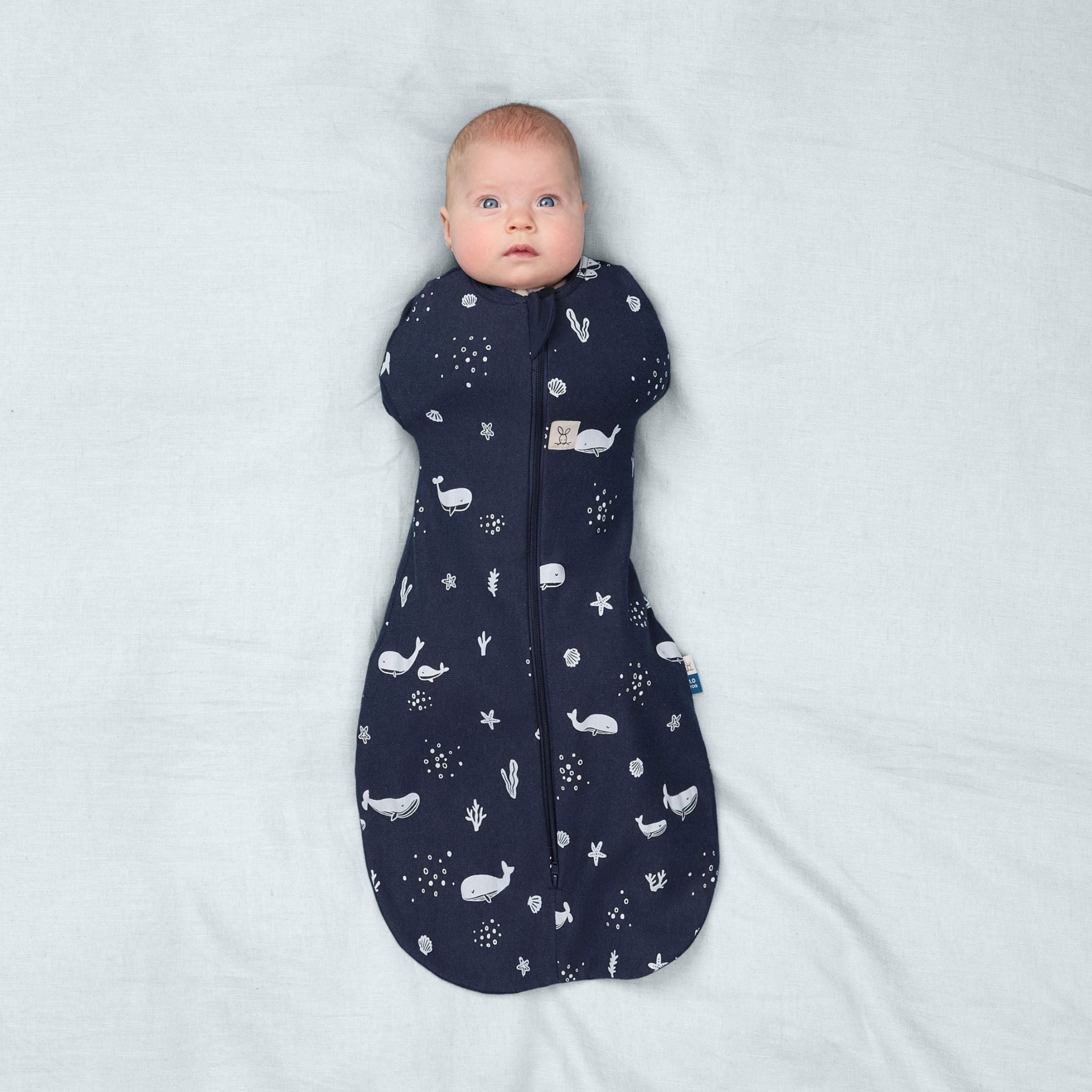 【ergoPouch予約】Cocoon Swaddle Bag 1.0 TOGコクーンスワドルバッグ(新生児~/スワドル)