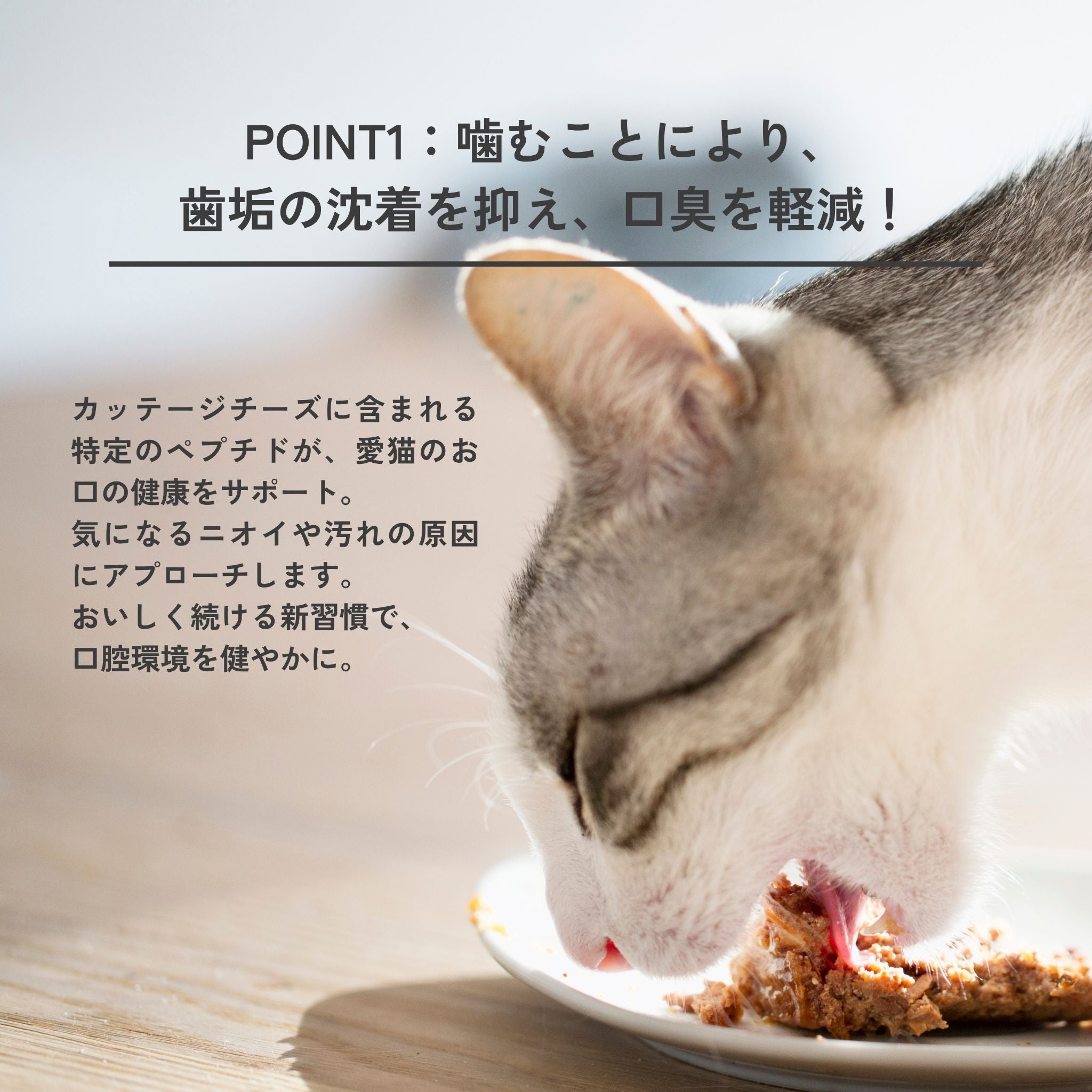 Dental Charcoal for cats 猫用デンタルチャコール