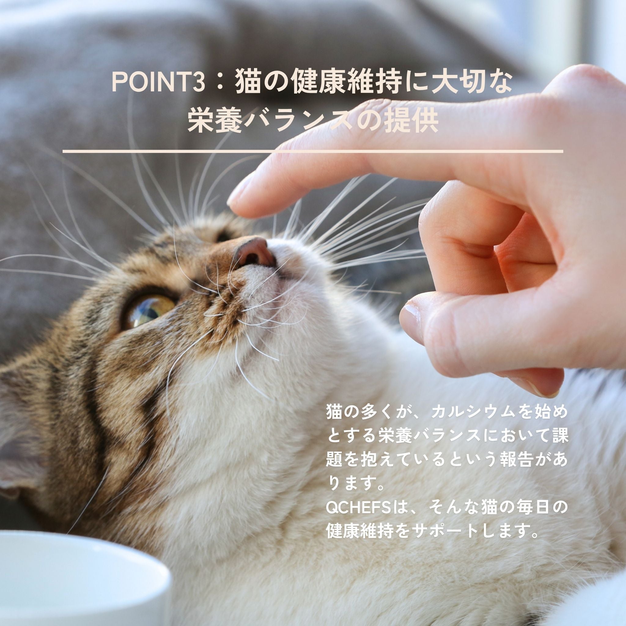 Dental Charcoal for cats 猫用デンタルチャコール