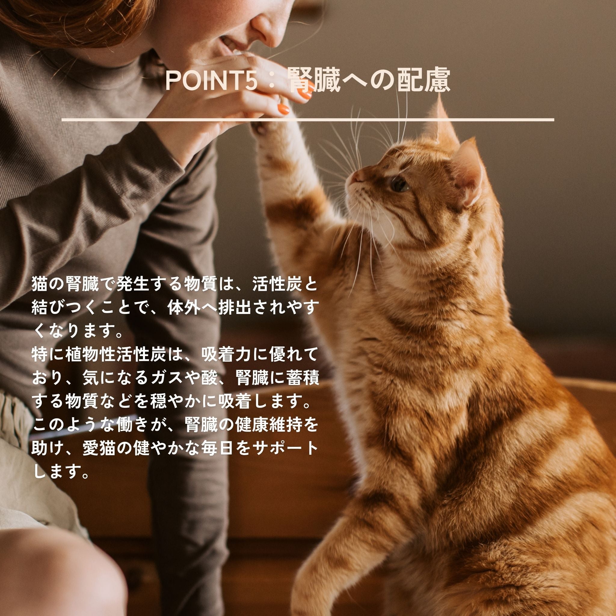 Dental Charcoal for cats 猫用デンタルチャコール
