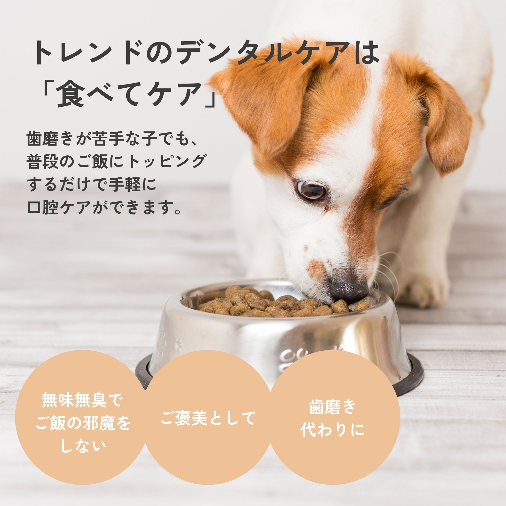 Dental Flakes for dogs 犬用デンタルフレーク