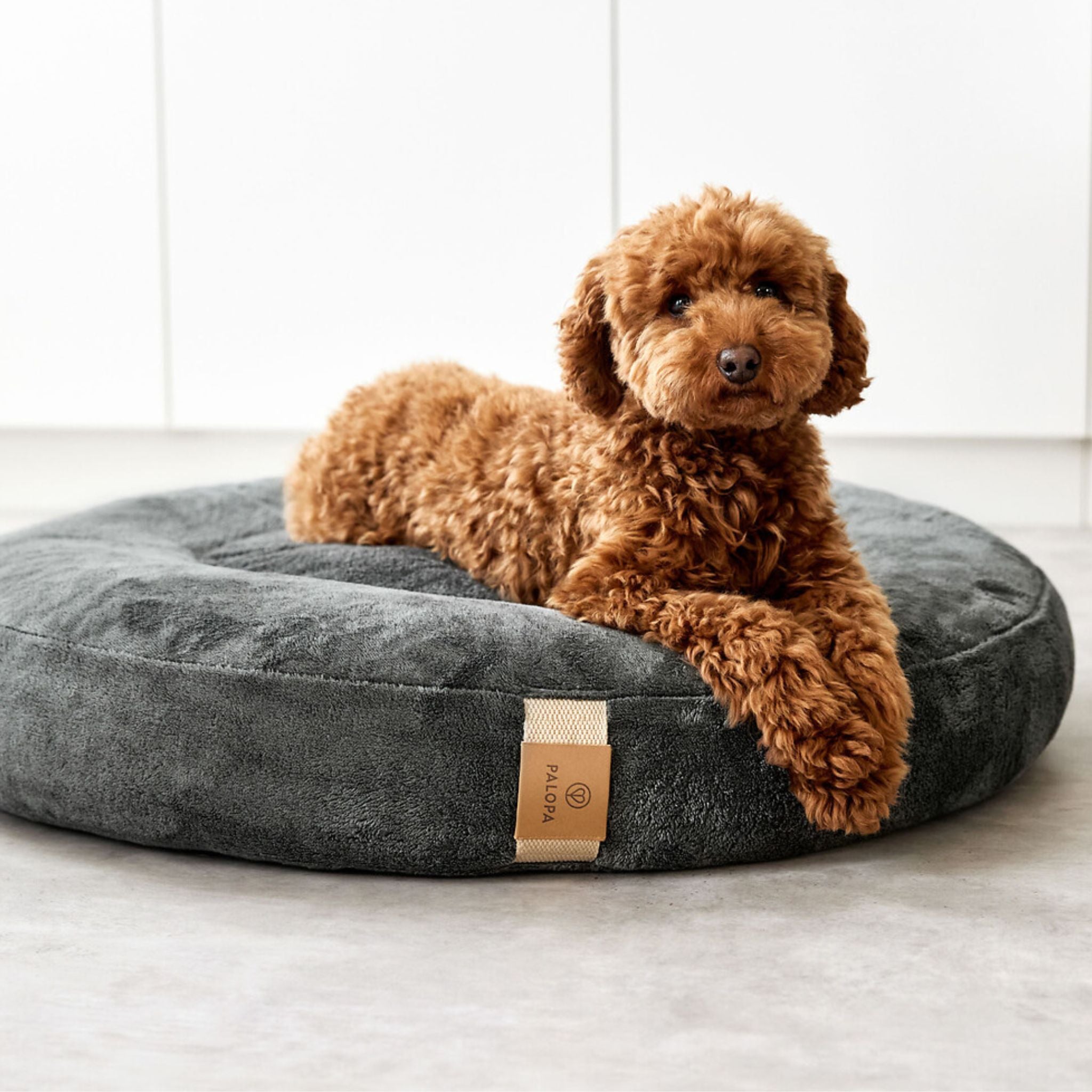 丸型犬用ベッド / Dog Bed Donut | PALOPA Japan(パロパ)