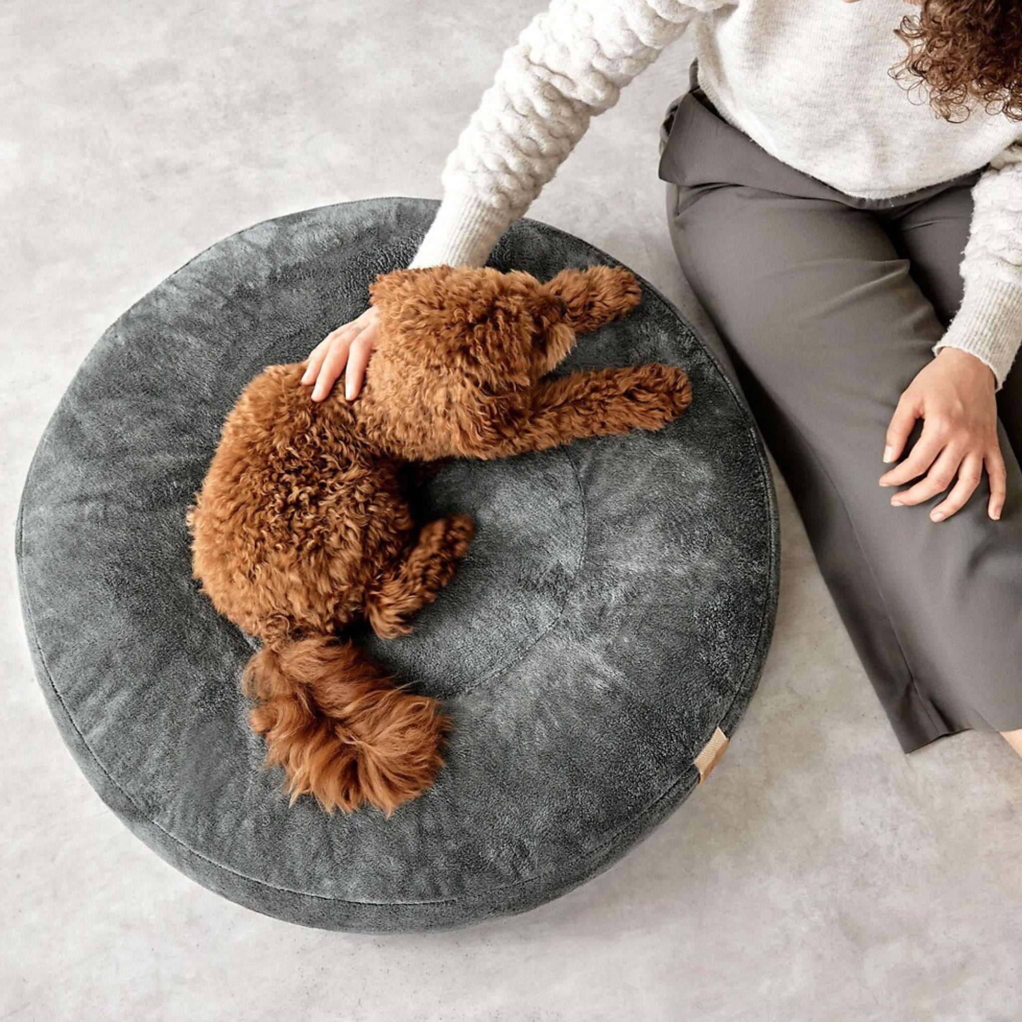 丸型犬用ベッド / Dog Bed Donut | PALOPA Japan(パロパ)