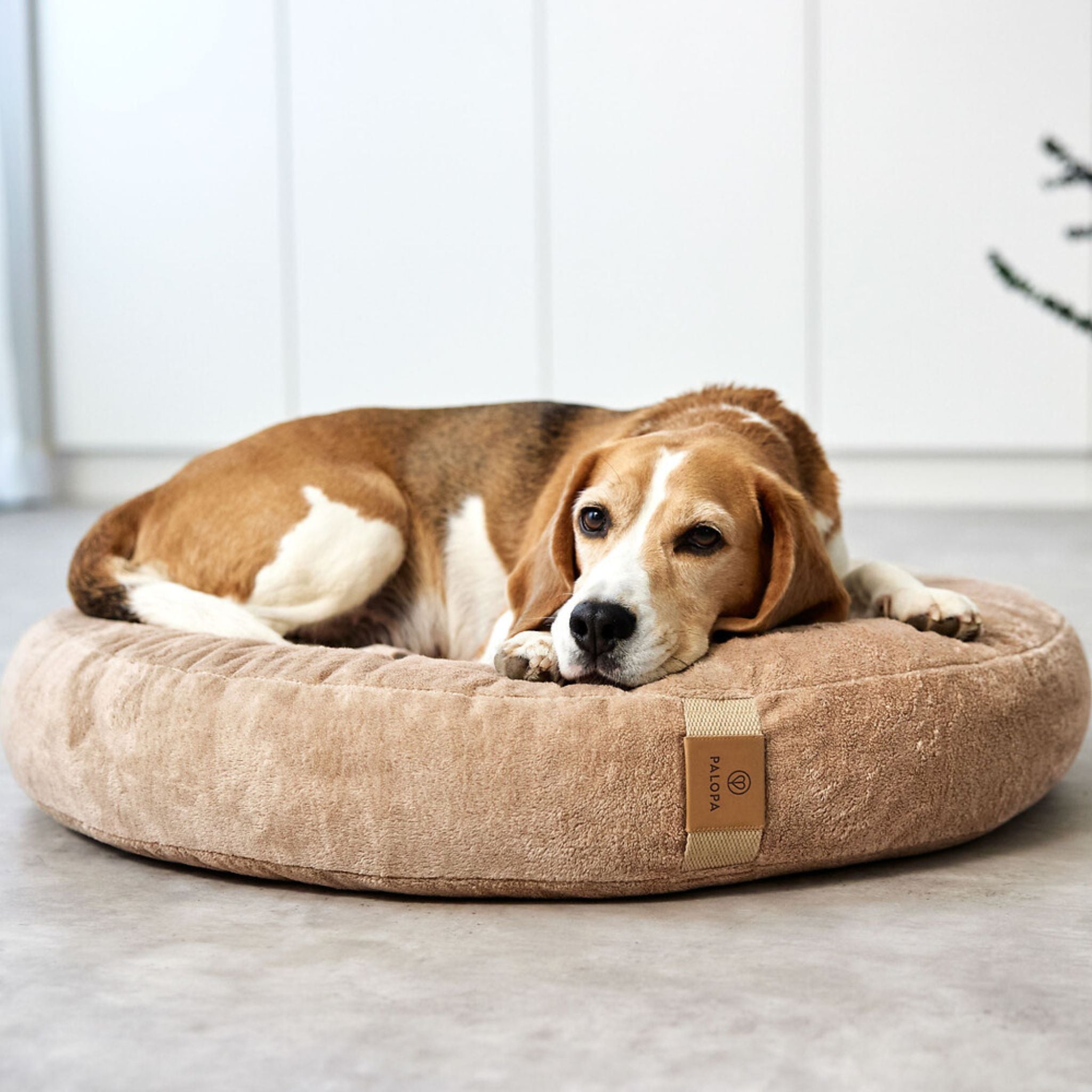 丸型犬用ベッド / Dog Bed Donut | PALOPA Japan(パロパ)
