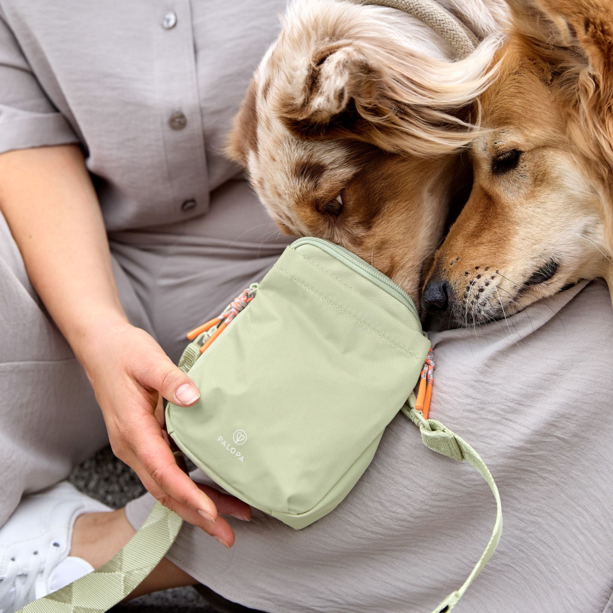 Greta(お散歩バッグ)/Dog Snack Bag Greta | PALOPA Japan(パロパ)