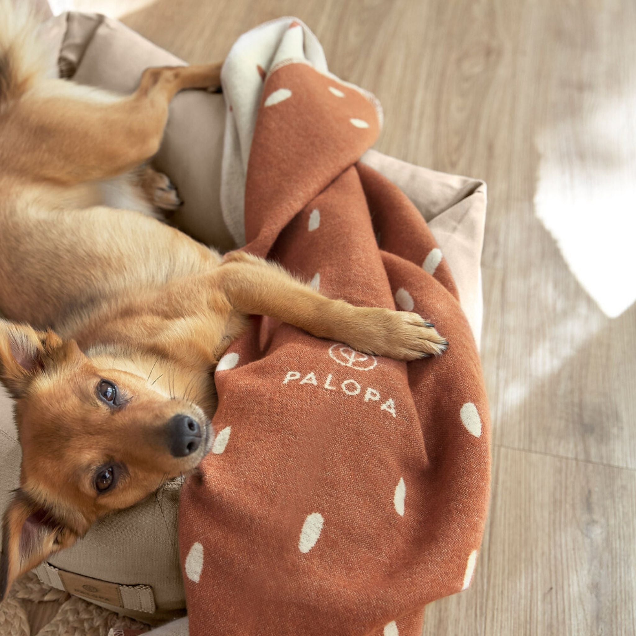 【New】ドッグブランケット / Dog Blanket Ida | PALOPA Japan(パロパ)