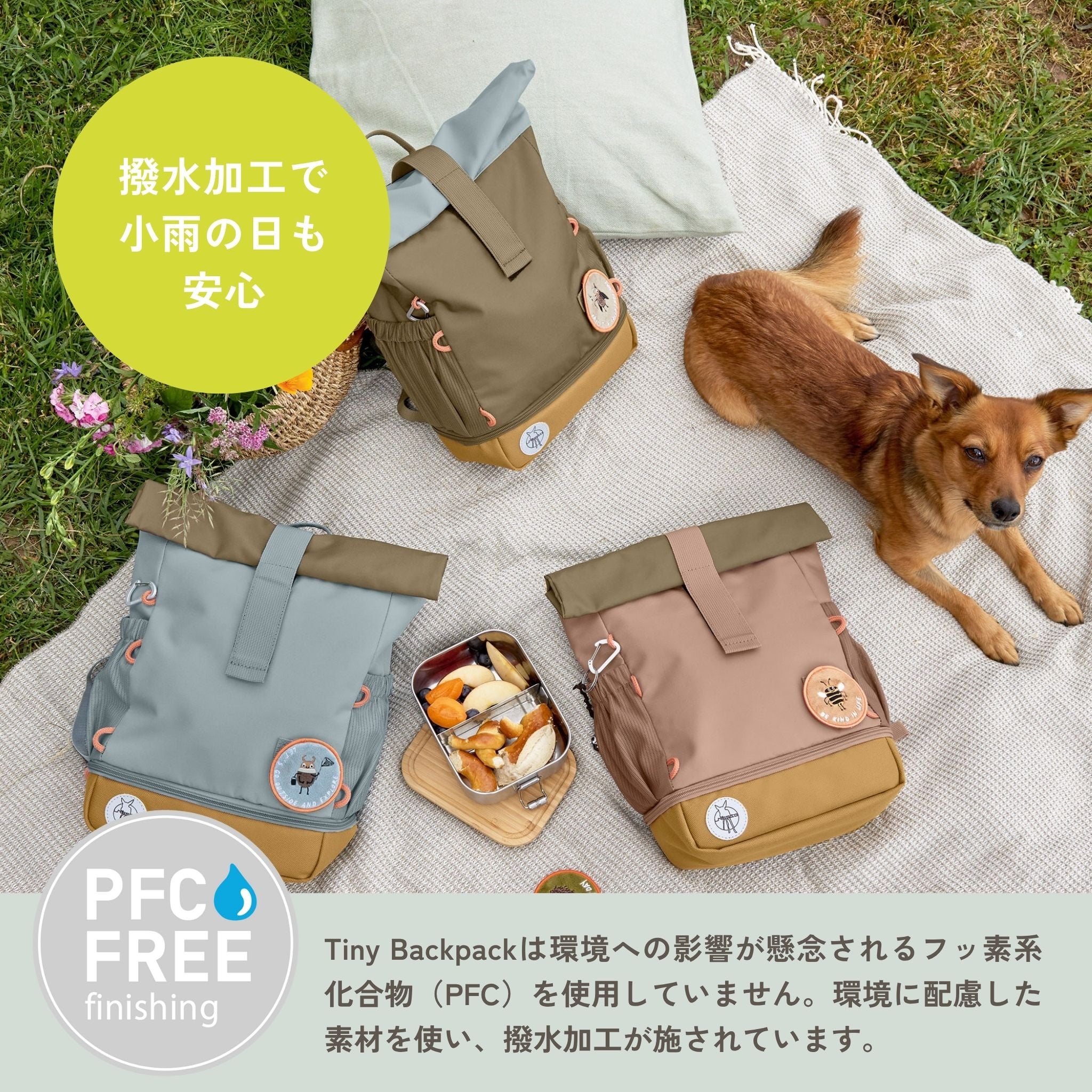 Mini Rolltop Backpack Nature ミニロールトップバックパック