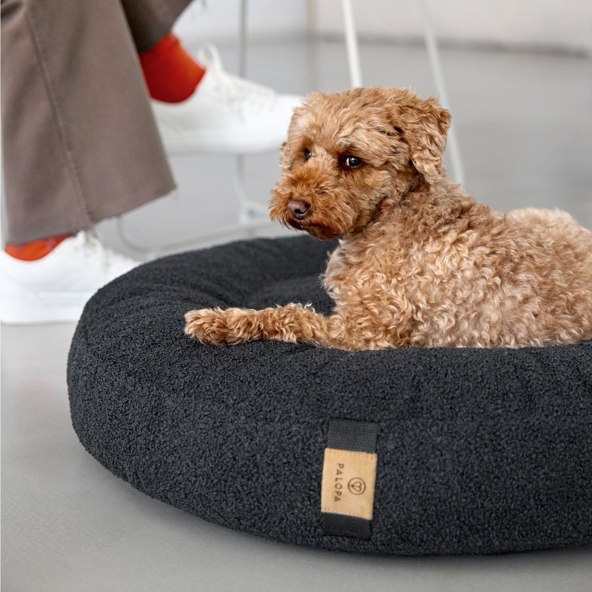 【発売開始前】丸型犬用ベッド / Dog Bed Donut | PALOPA Japan(パロパ)