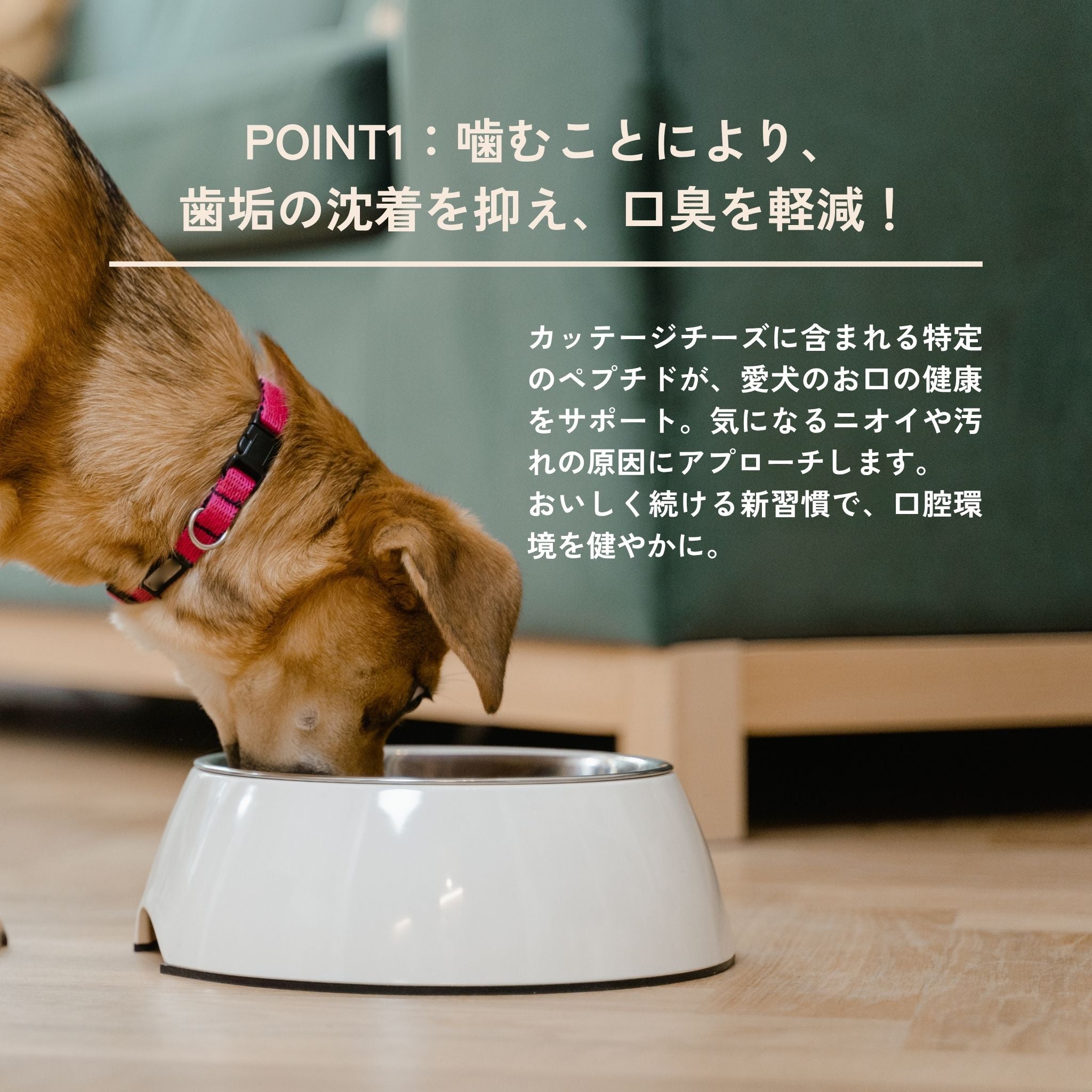 Puffed Cracker パフドクラッカー