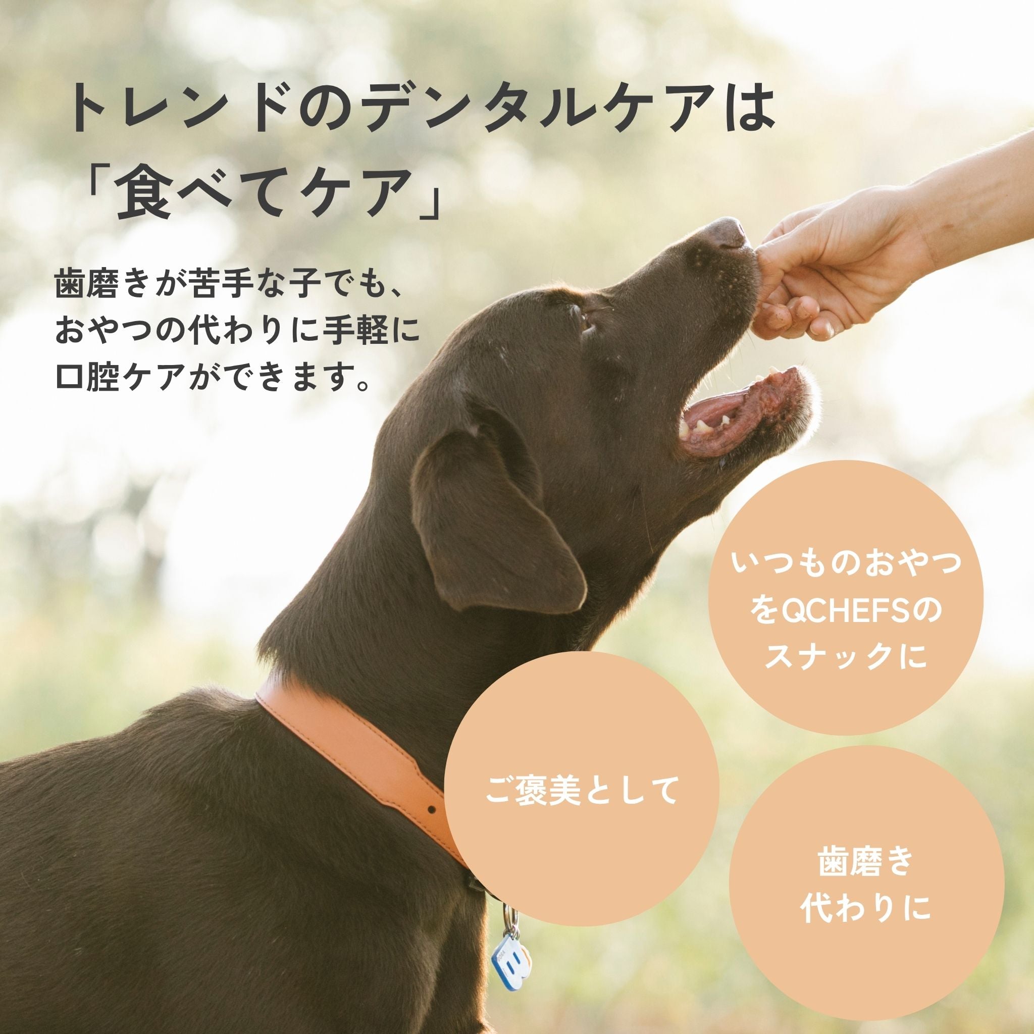 Puffed Cracker パフドクラッカー
