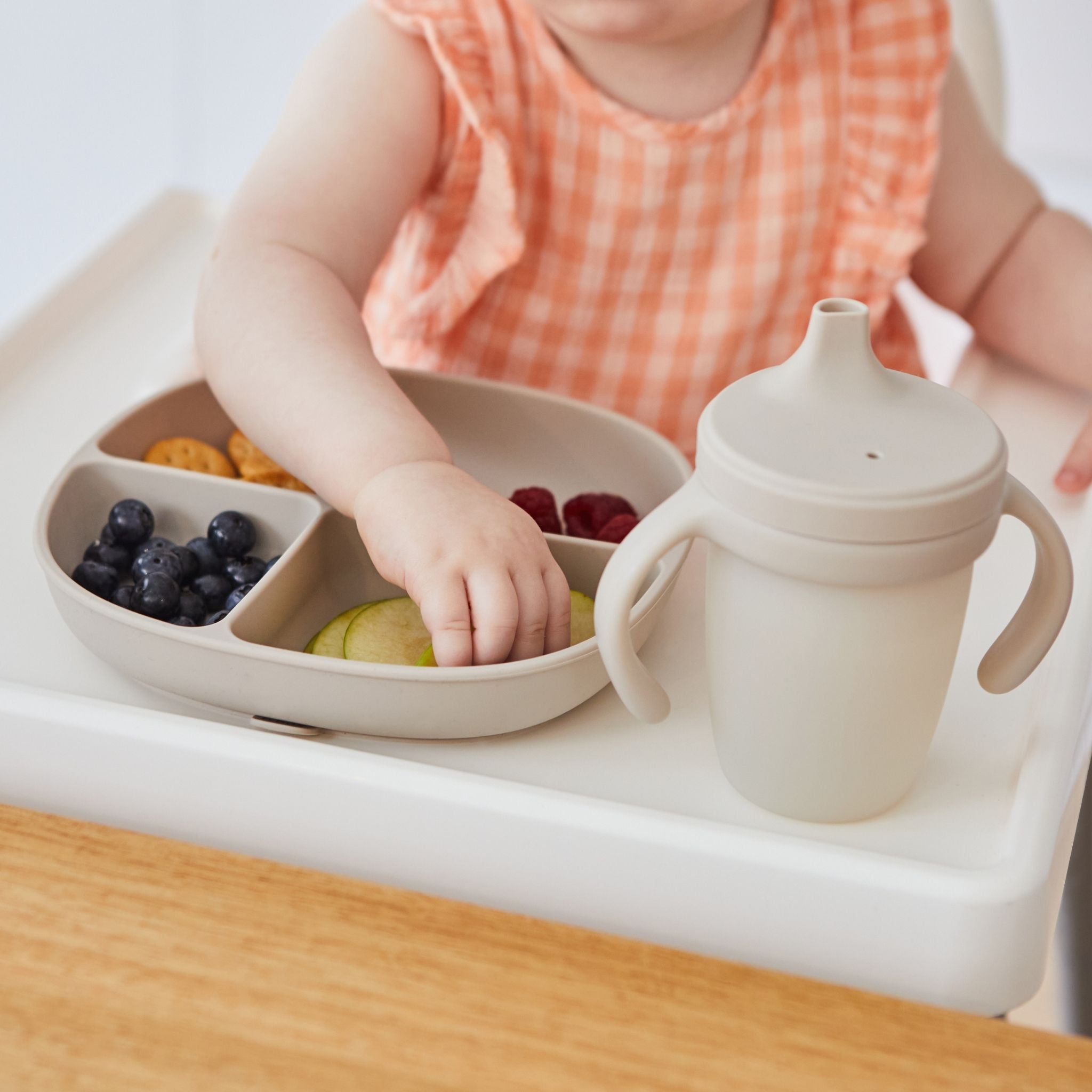 シリコンプレート+リッド(蓋・吸盤付き食器)/Silicone Plate+Lid