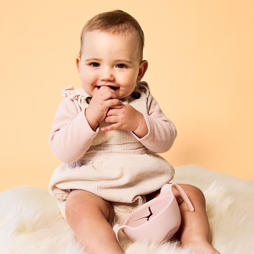 【10月28日12時~発売開始】Sip + Snack Bowl シップスナックボウル