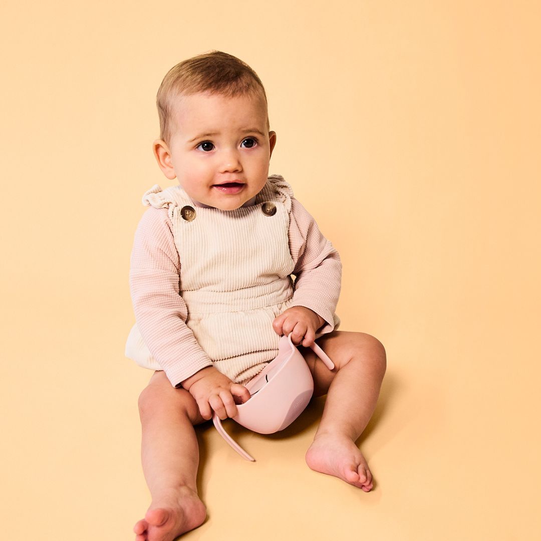 【10月28日12時~発売開始】Sip + Snack Bowl シップスナックボウル