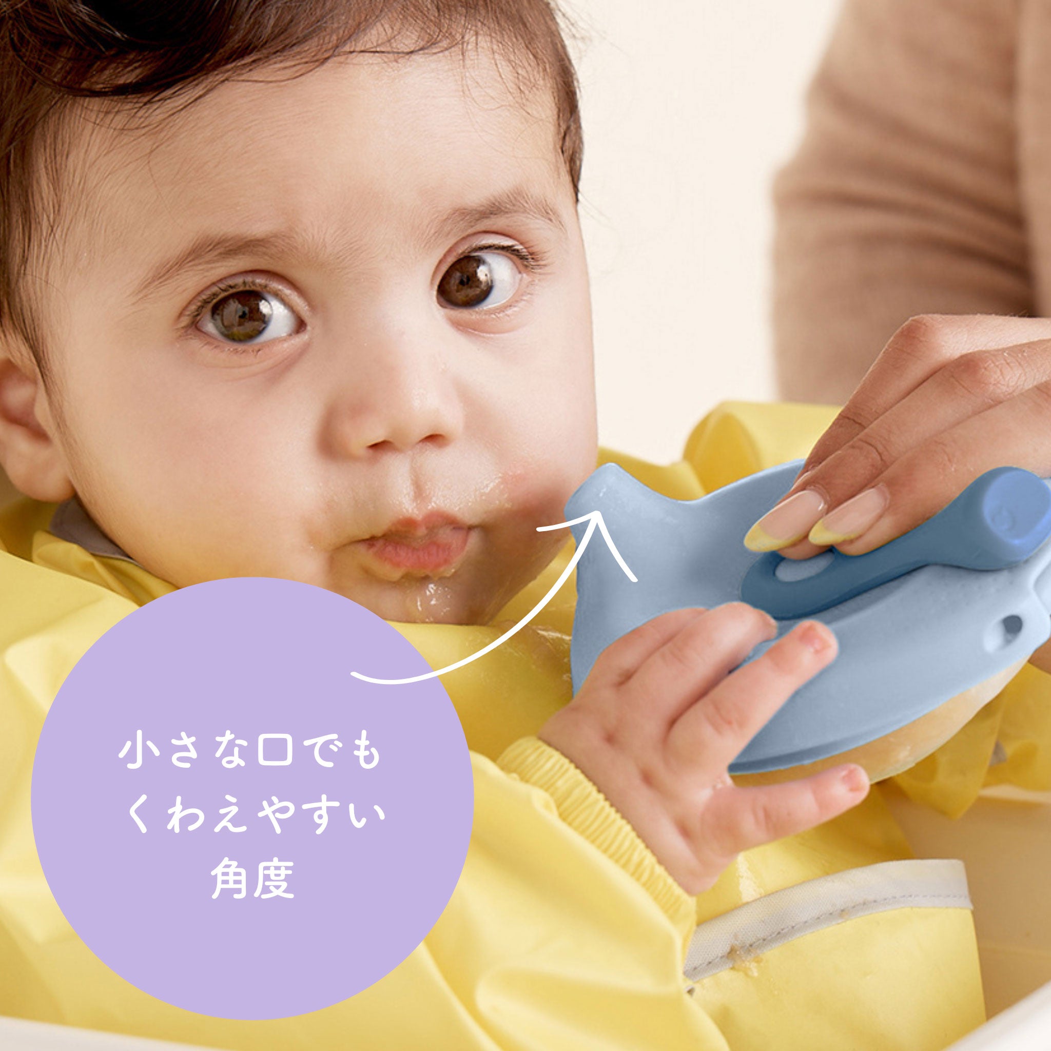 【SALE】Fill + Feed フィルフィード