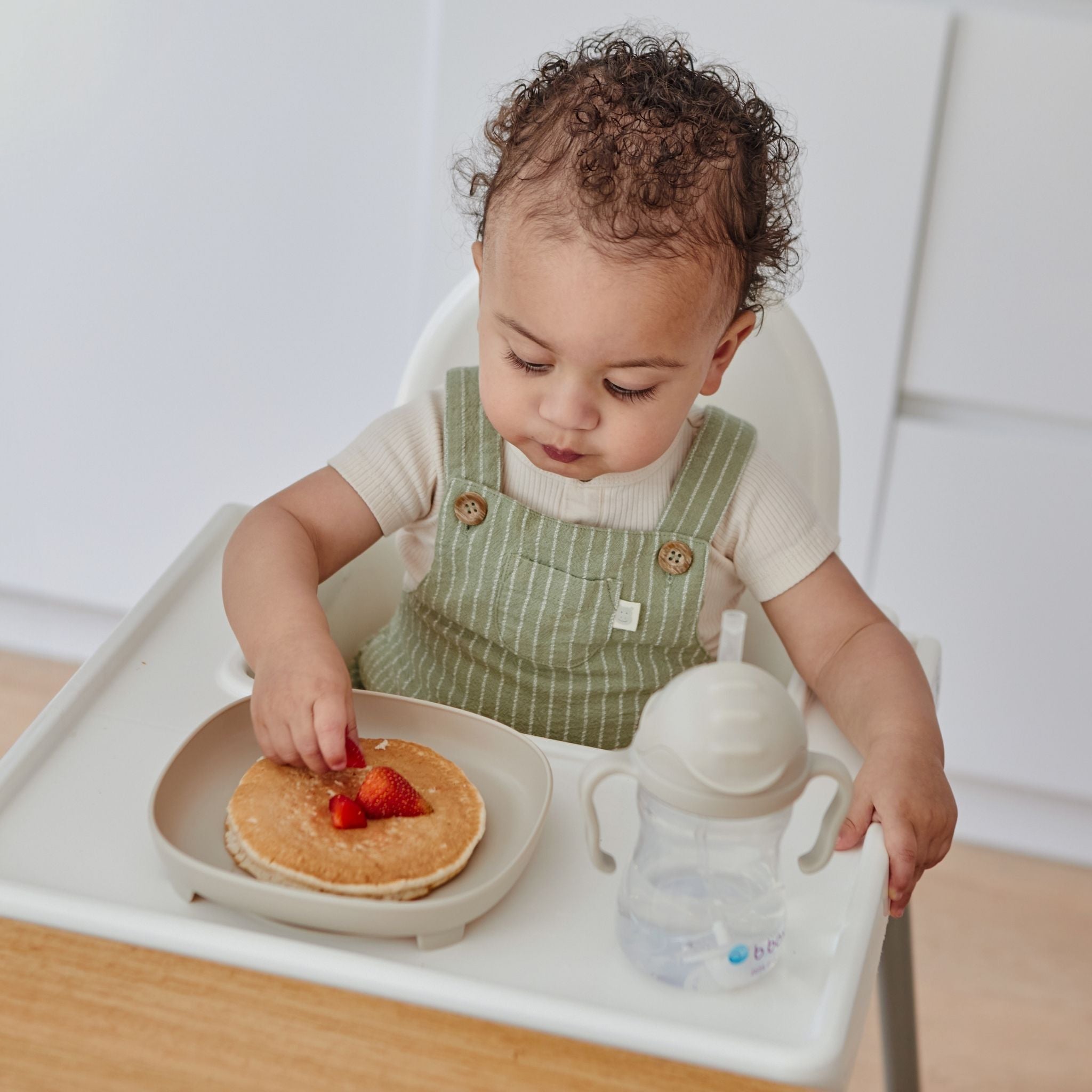 2 in 1 サクションプレート(吸盤付き食器) - 2 in 1 Suction Plate