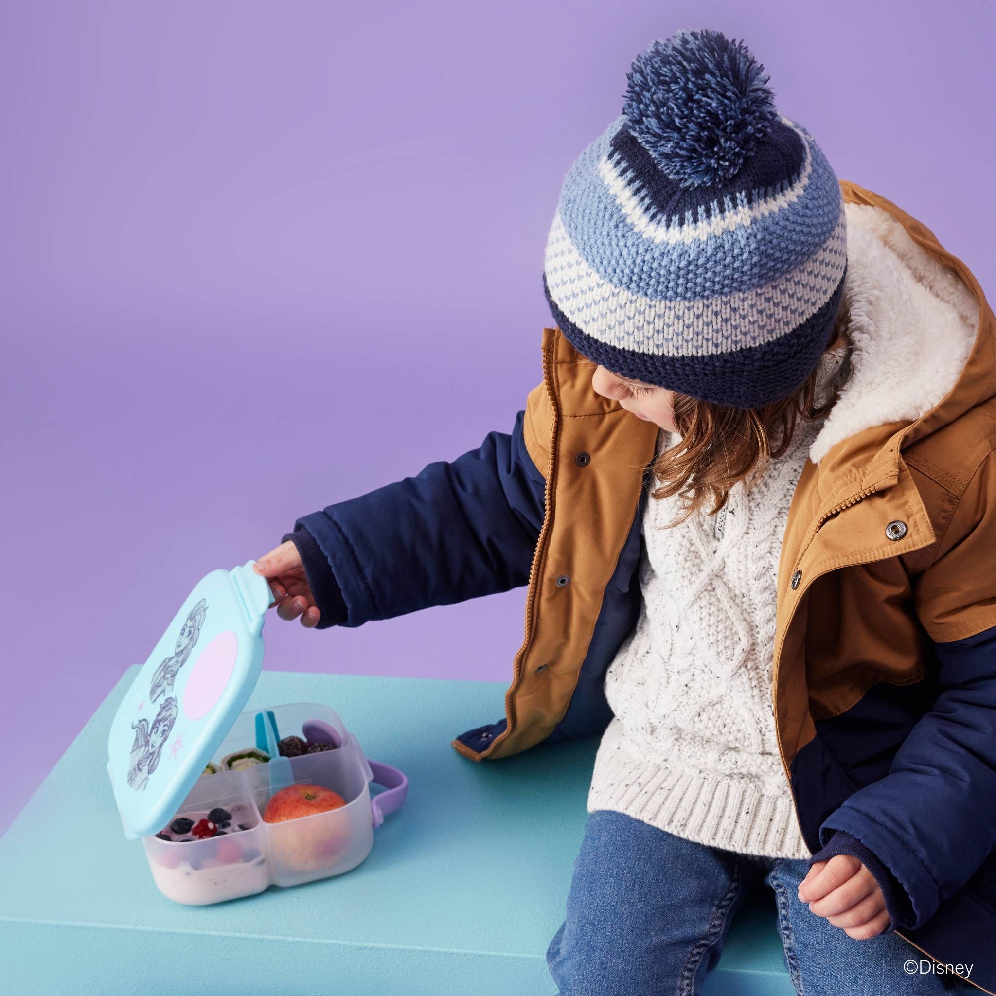 Mini Lunchbox ミニランチボックス - disney