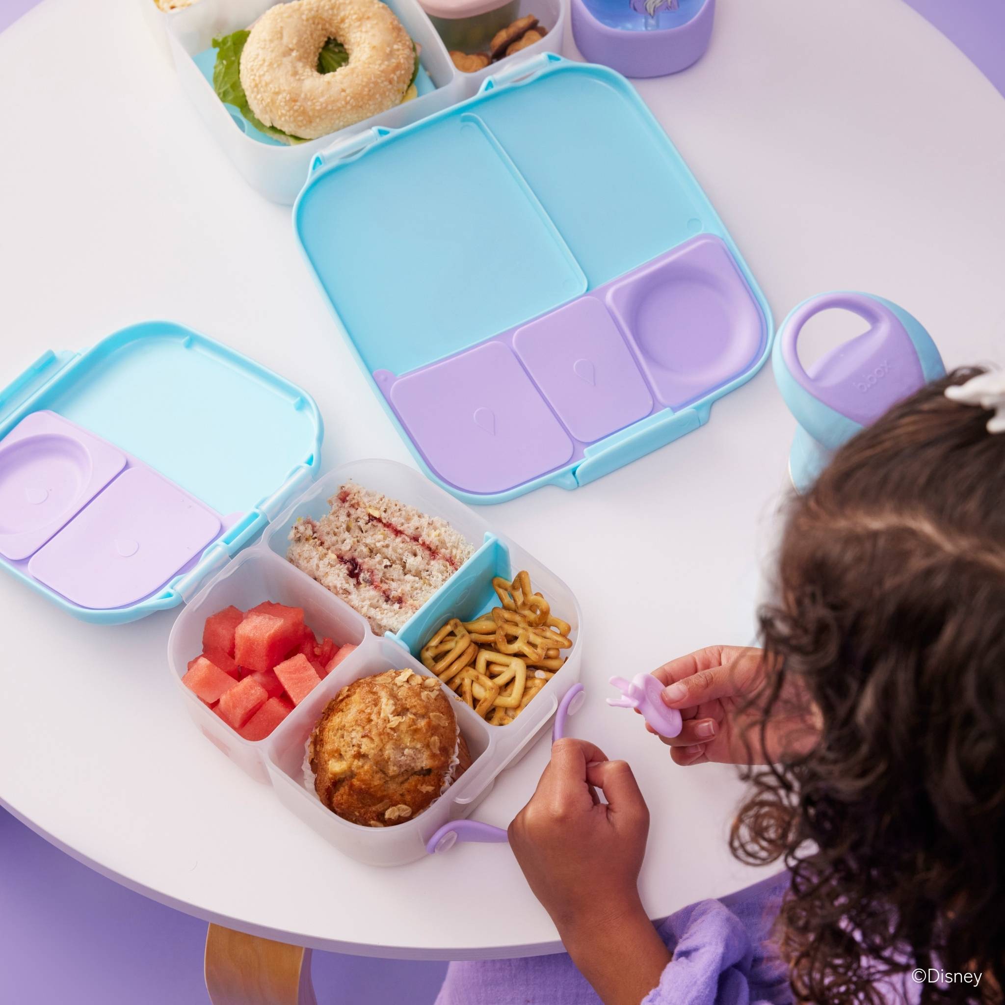 Mini Lunchbox ミニランチボックス - disney