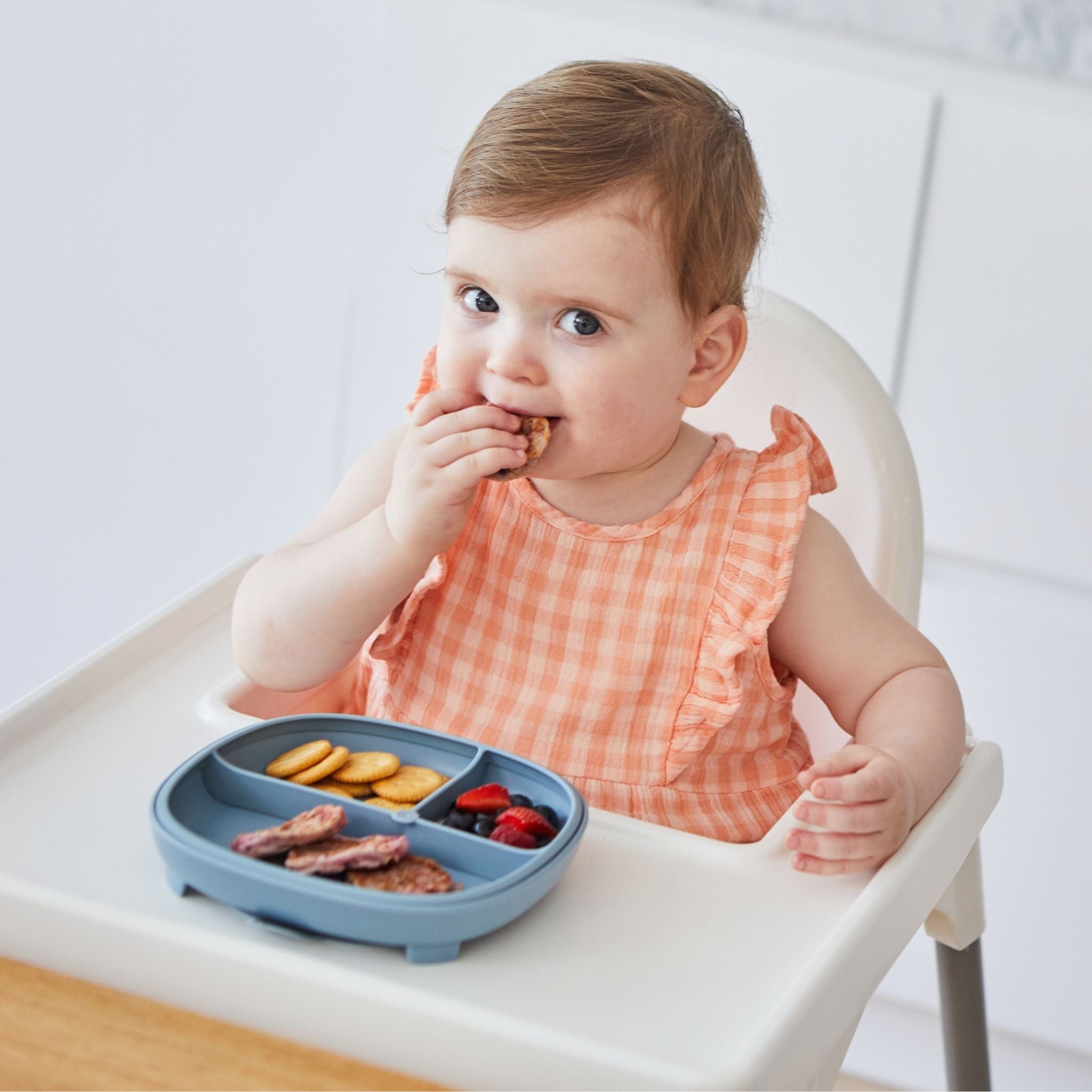 2 in 1 サクションプレート(吸盤付き食器) - 2 in 1 Suction Plate