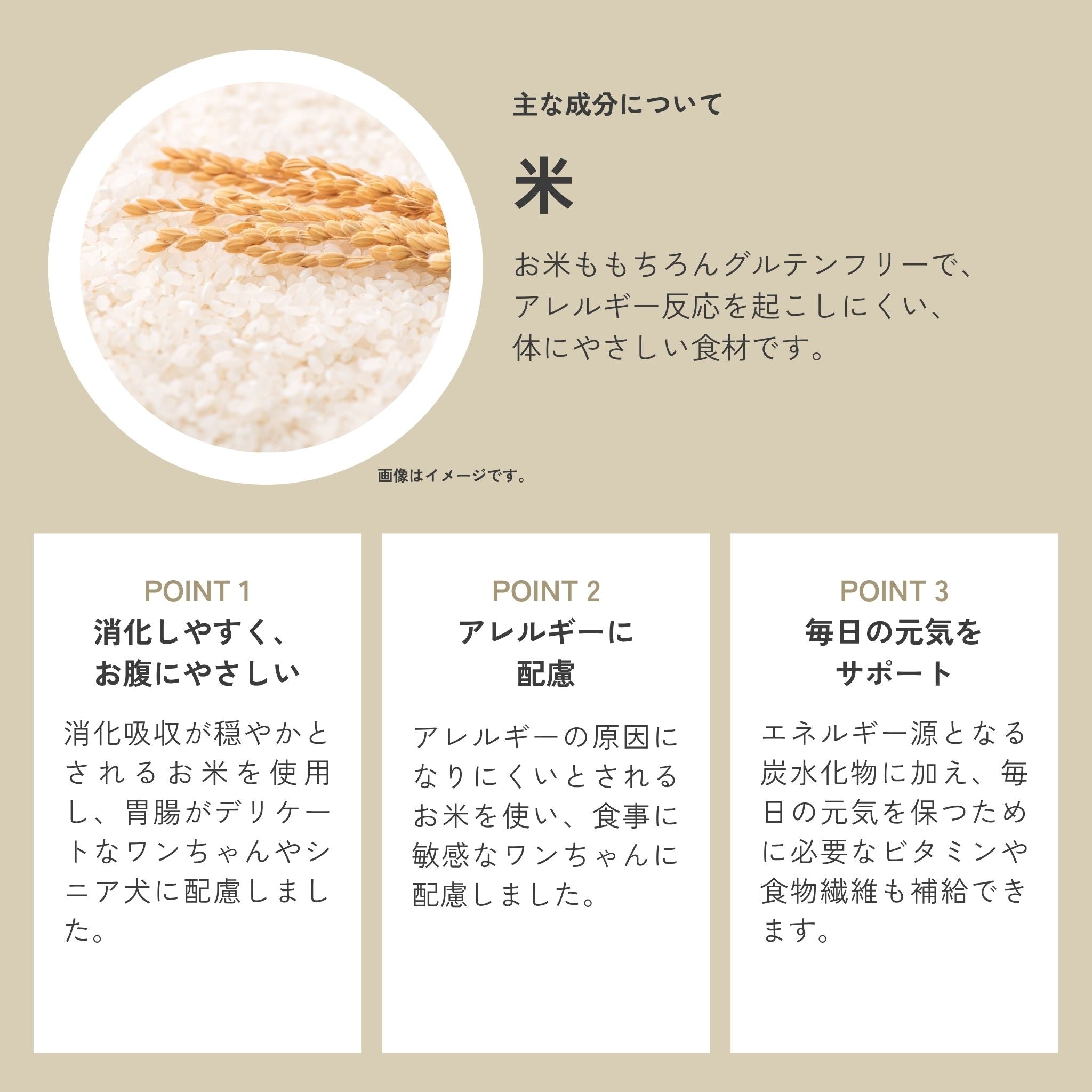 Dental Charcoal for cats 猫用デンタルチャコール
