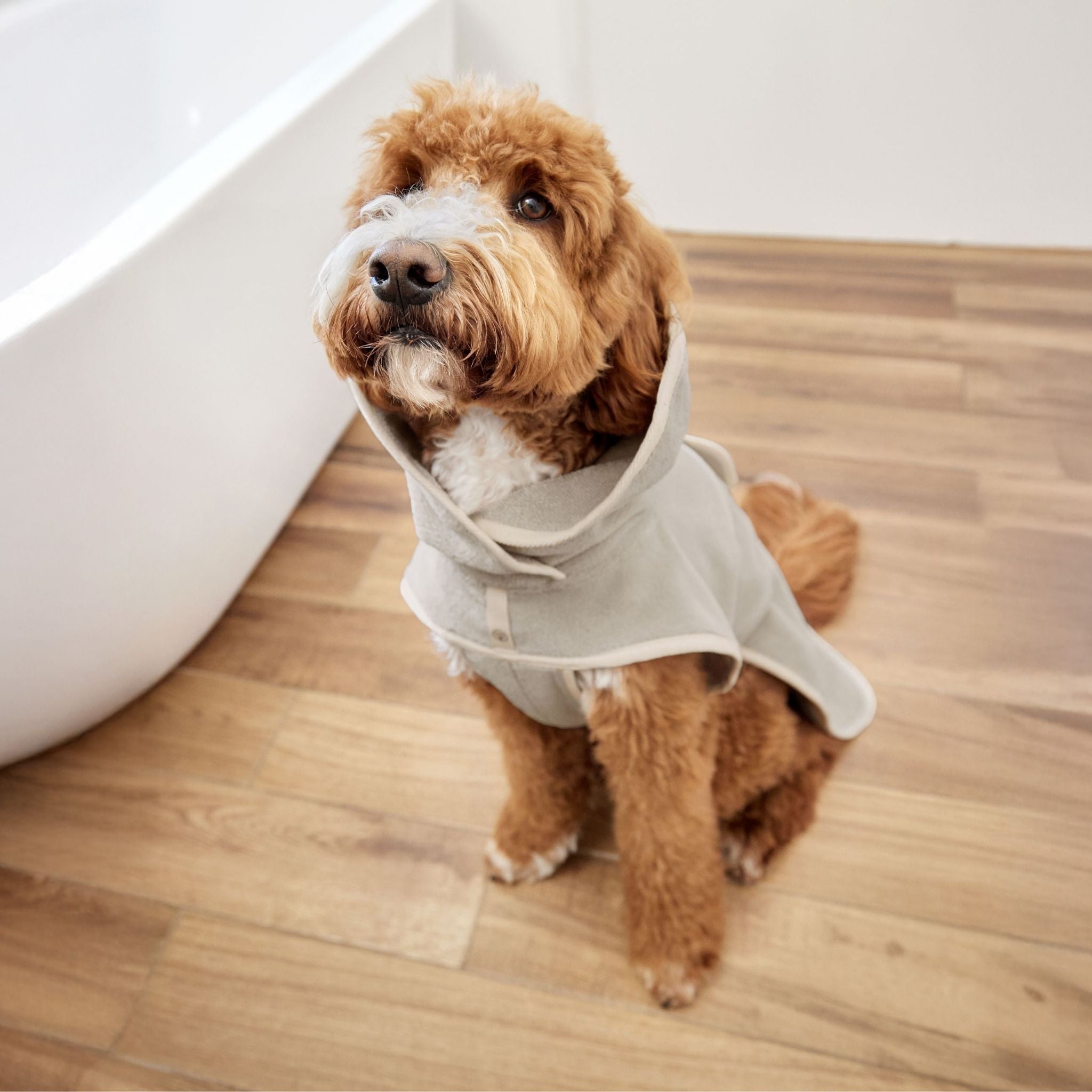 【3/11発売開始予定】ドッグバスローブ / Dog Bathrobe Robi | PALOPA Japan(パロパ)