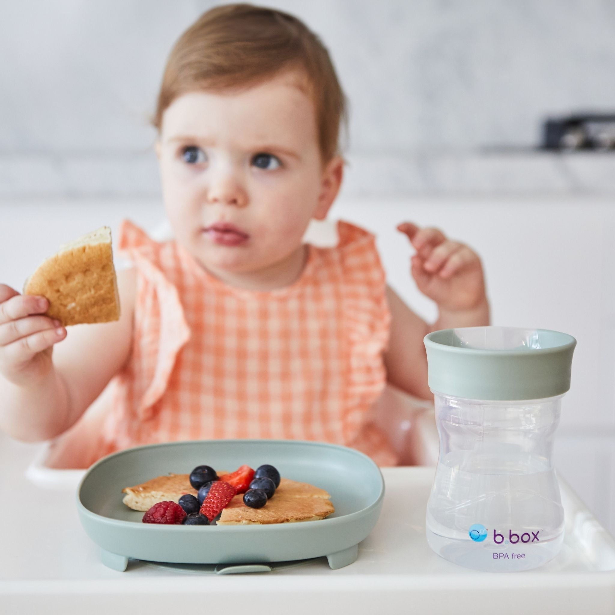 2 in 1 サクションプレート(吸盤付き食器) - 2 in 1 Suction Plate