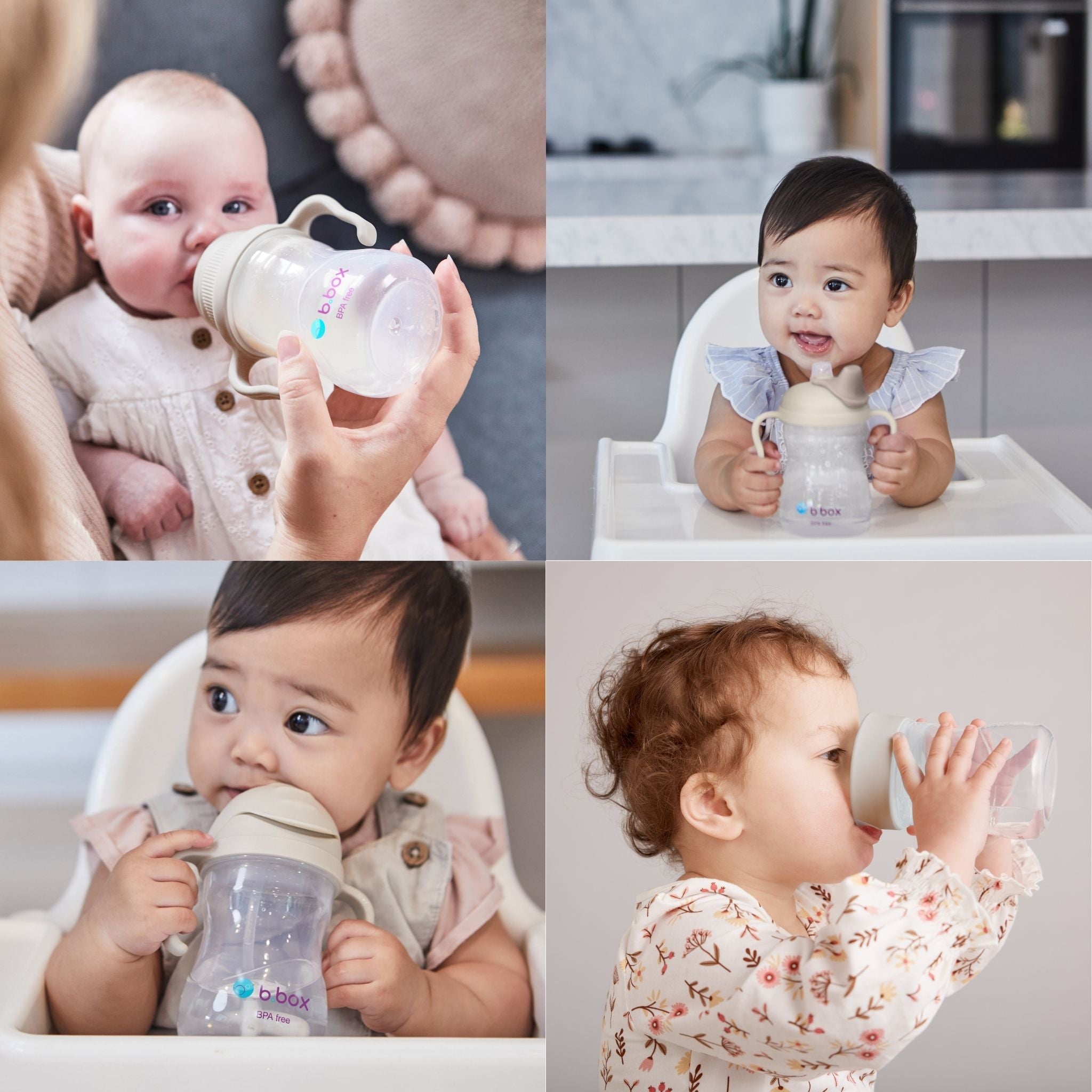 Transition value pack ステップアップマグパック