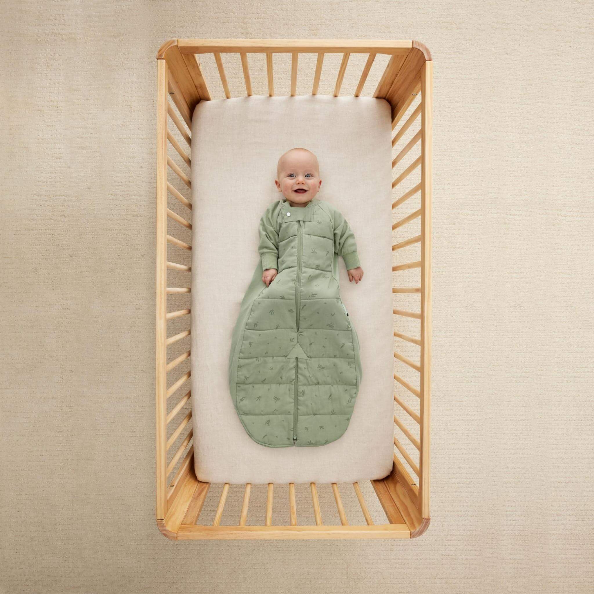 Sleep Suit Bag 2.5 TOGスリープスーツバッグ(8ヶ月~/歩き始めのベビー&キッズ用スリーパー)