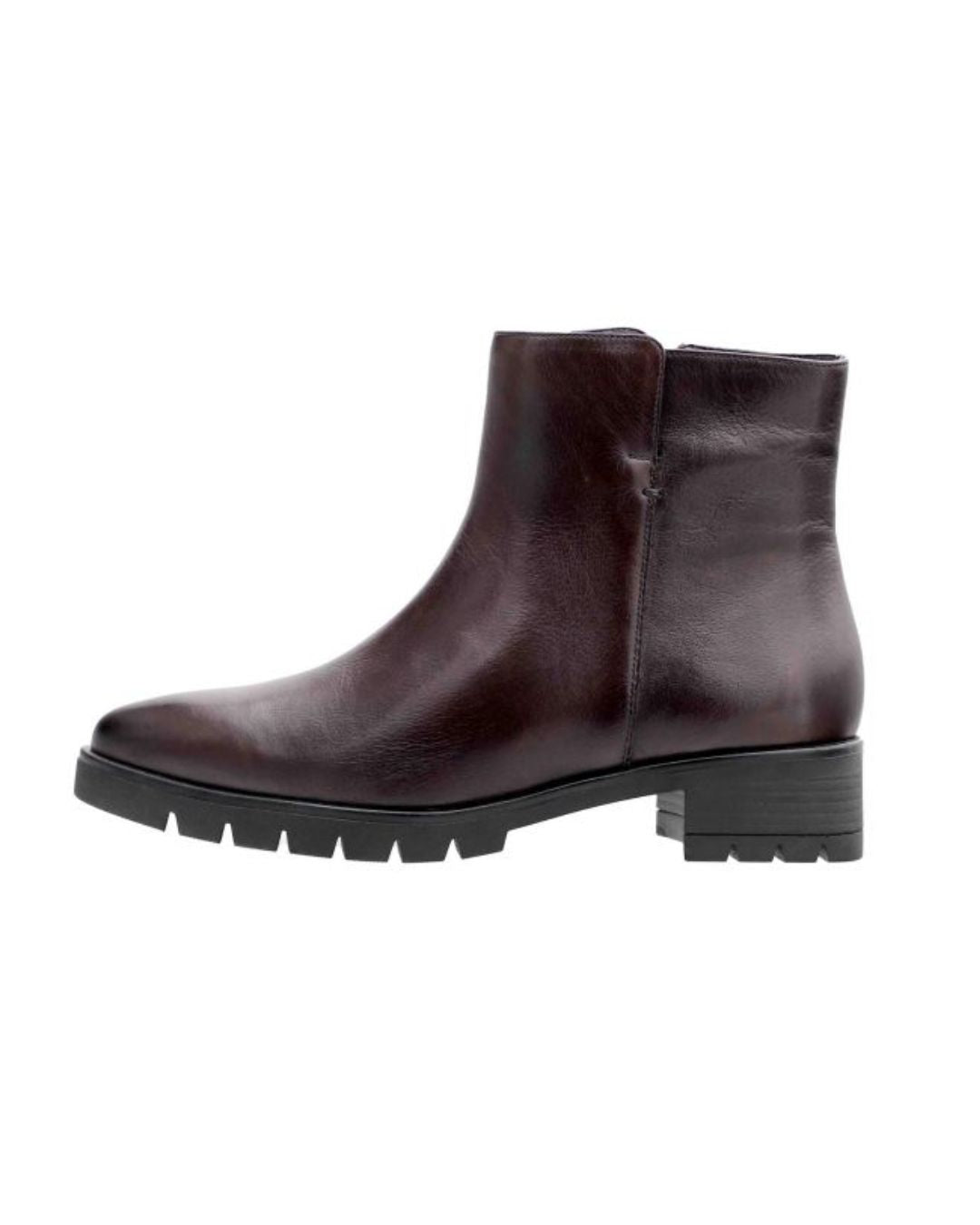 【ara26AW予約】[12-59300] NAPOLI