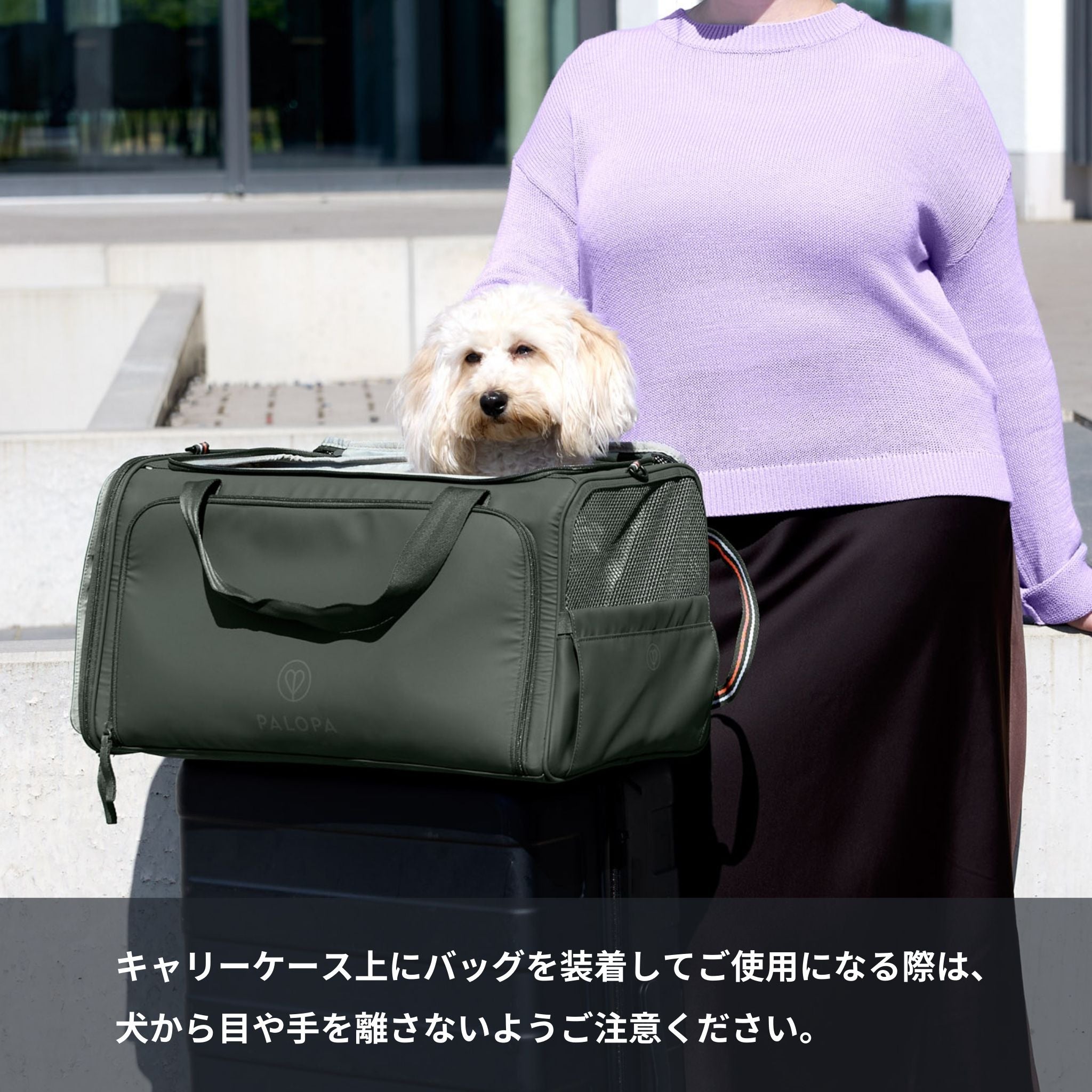 【New】トラベルキャリーバッグ / Travel Carrier Bag Benno | PALOPA Japan（パロパ）