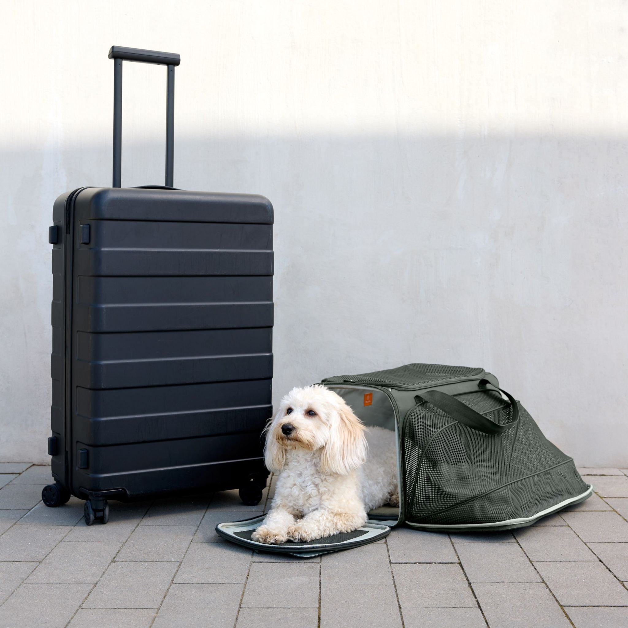 【New】トラベルキャリーバッグ / Travel Carrier Bag Benno | PALOPA Japan（パロパ）