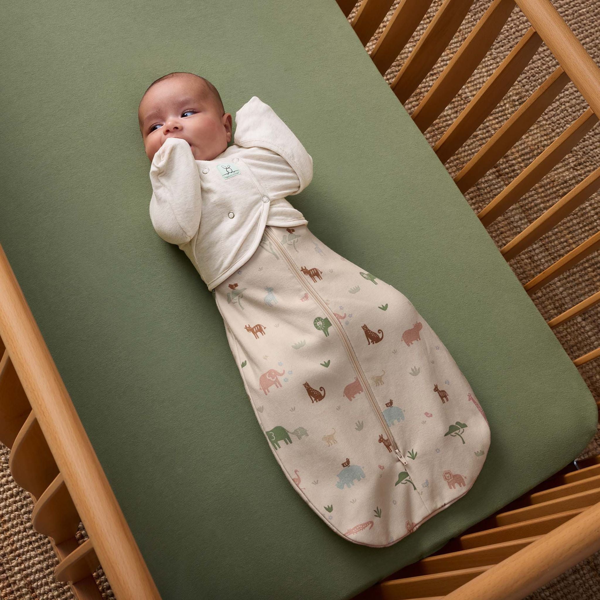 【ergoPouch予約】Cocoon Swaddle Bag 1.0 TOGコクーンスワドルバッグ（新生児～／スワドル）