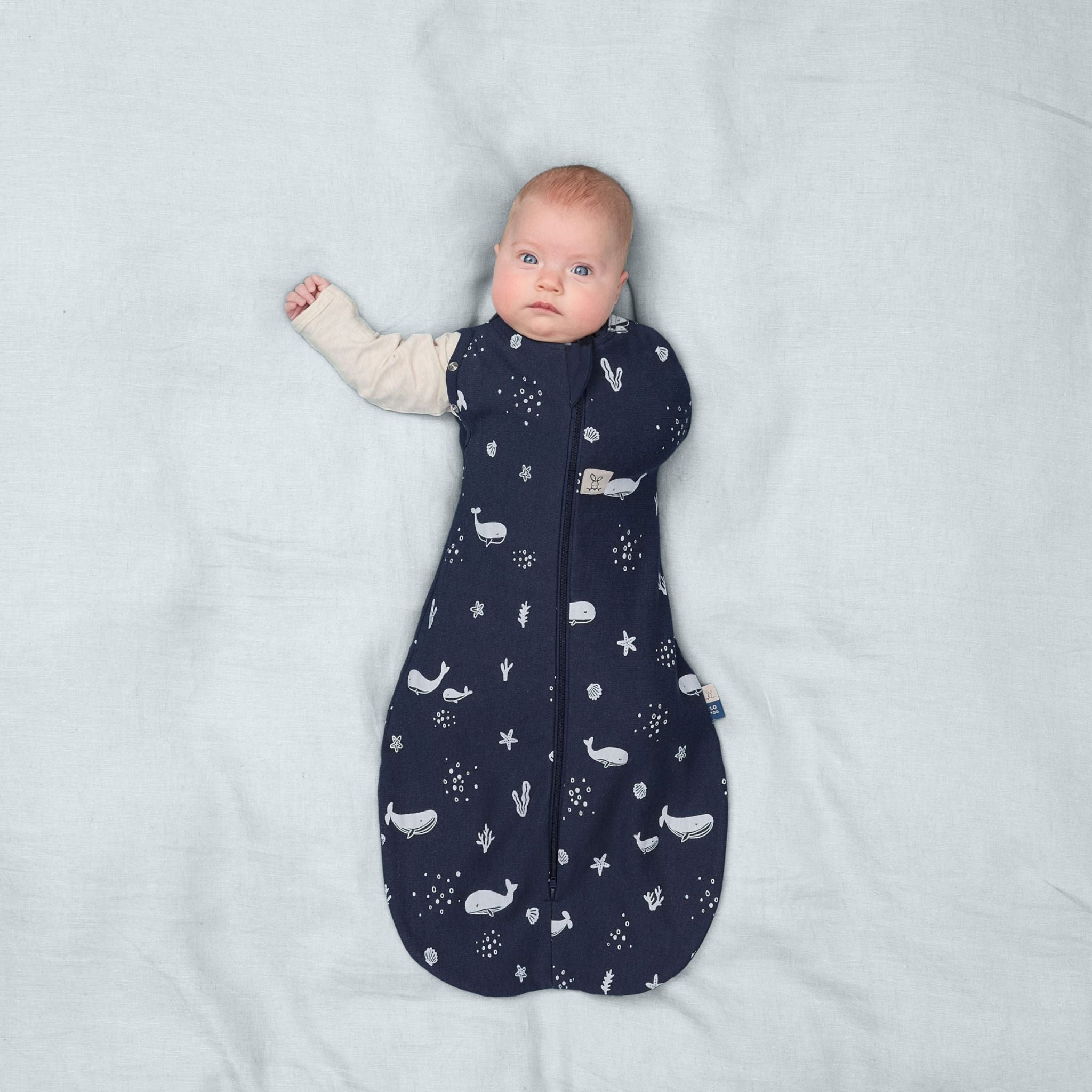 【ergoPouch予約】Cocoon Swaddle Bag 1.0 TOGコクーンスワドルバッグ（新生児～／スワドル）