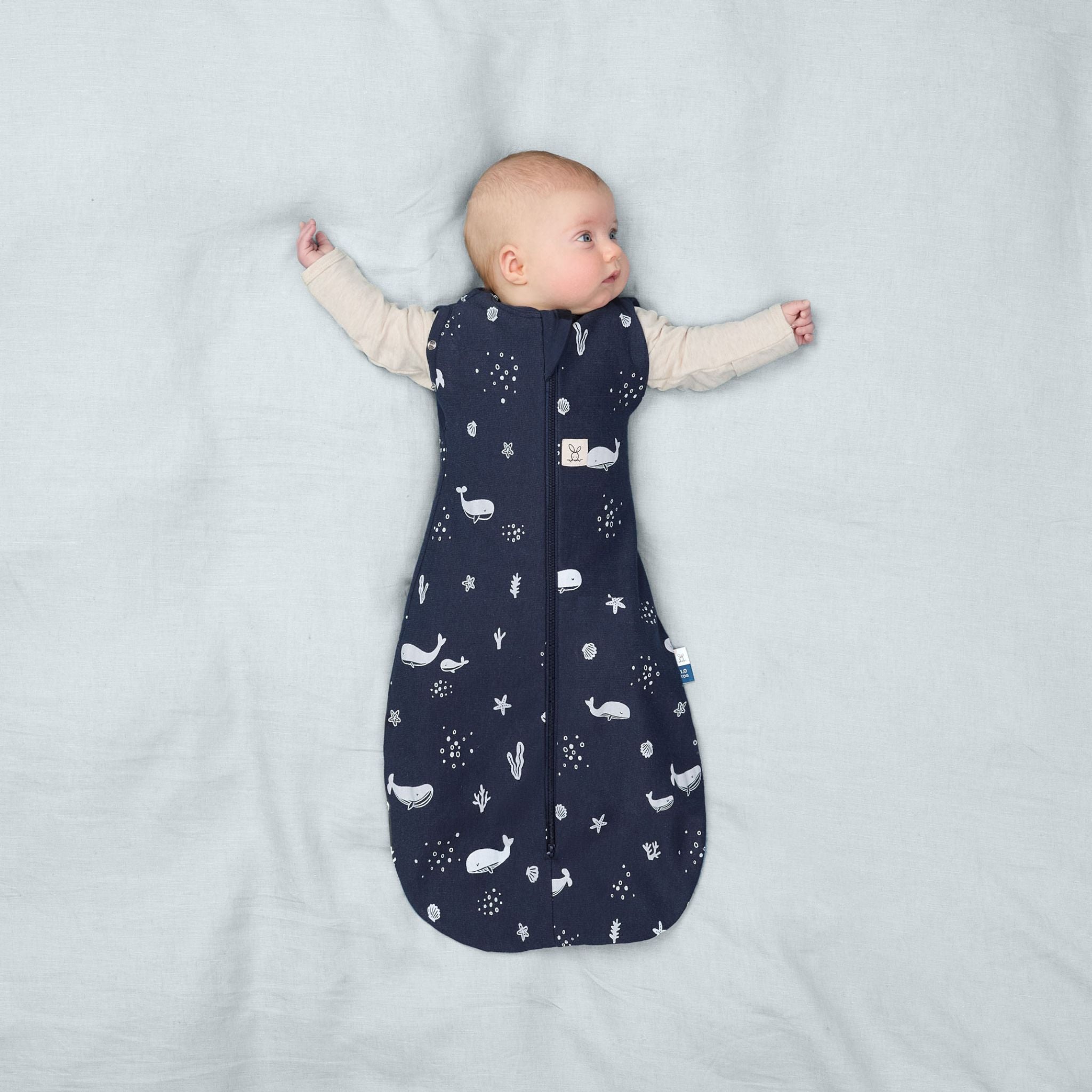 【ergoPouch予約】Cocoon Swaddle Bag 1.0 TOGコクーンスワドルバッグ（新生児～／スワドル）