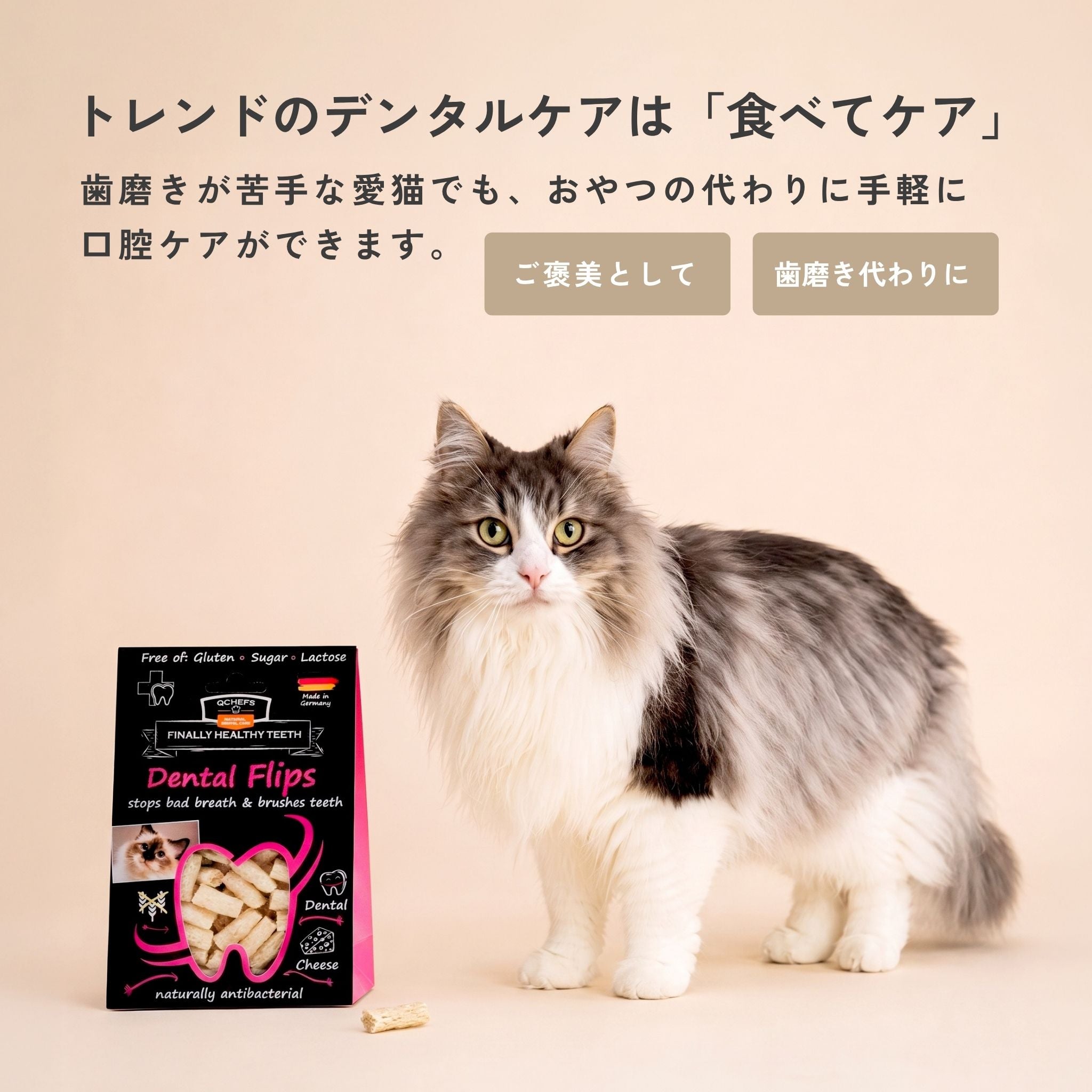 【New】Dental Flips for Cats 猫用デンタルフリップ