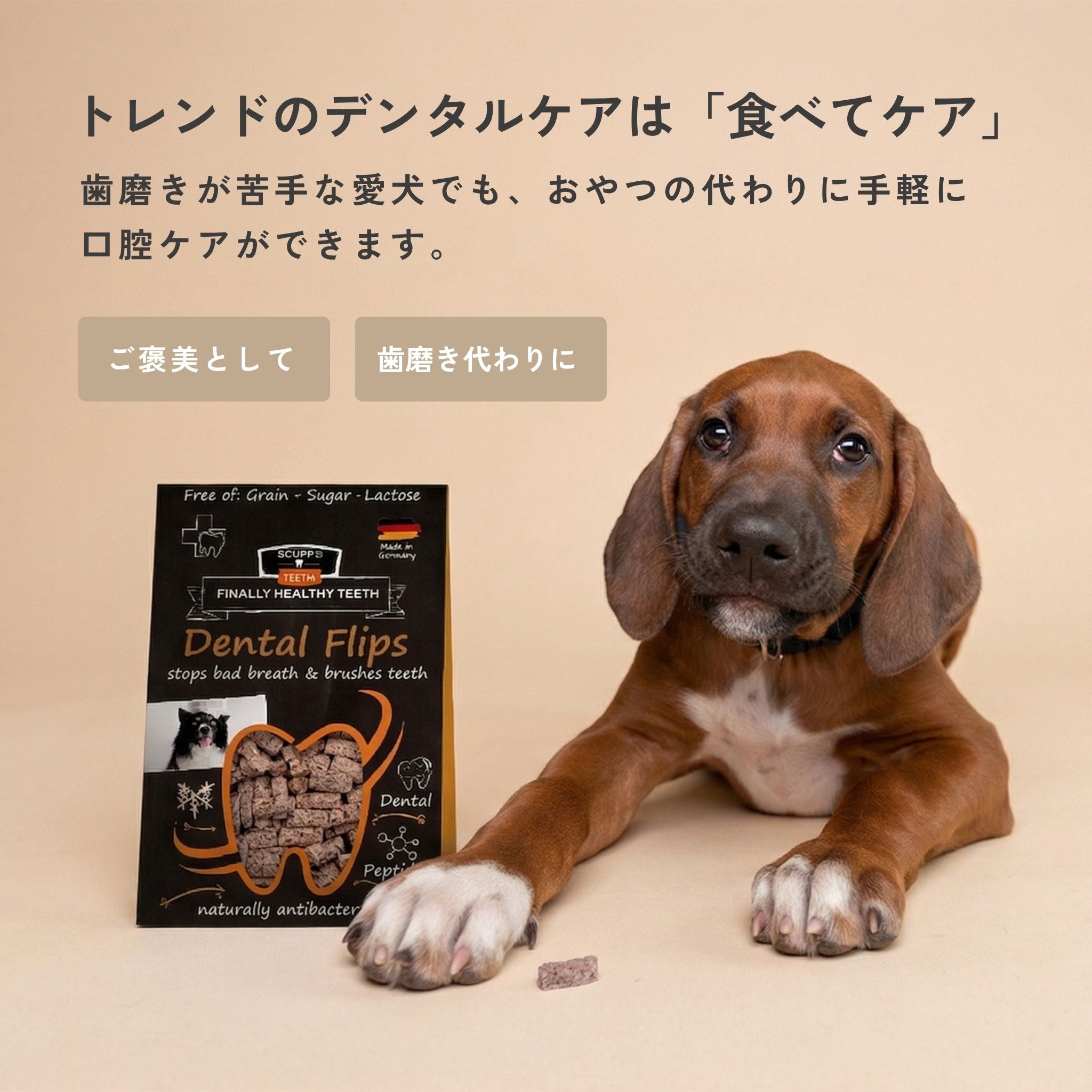 【New】Dental Flips for Dogs 犬用デンタルフリップ