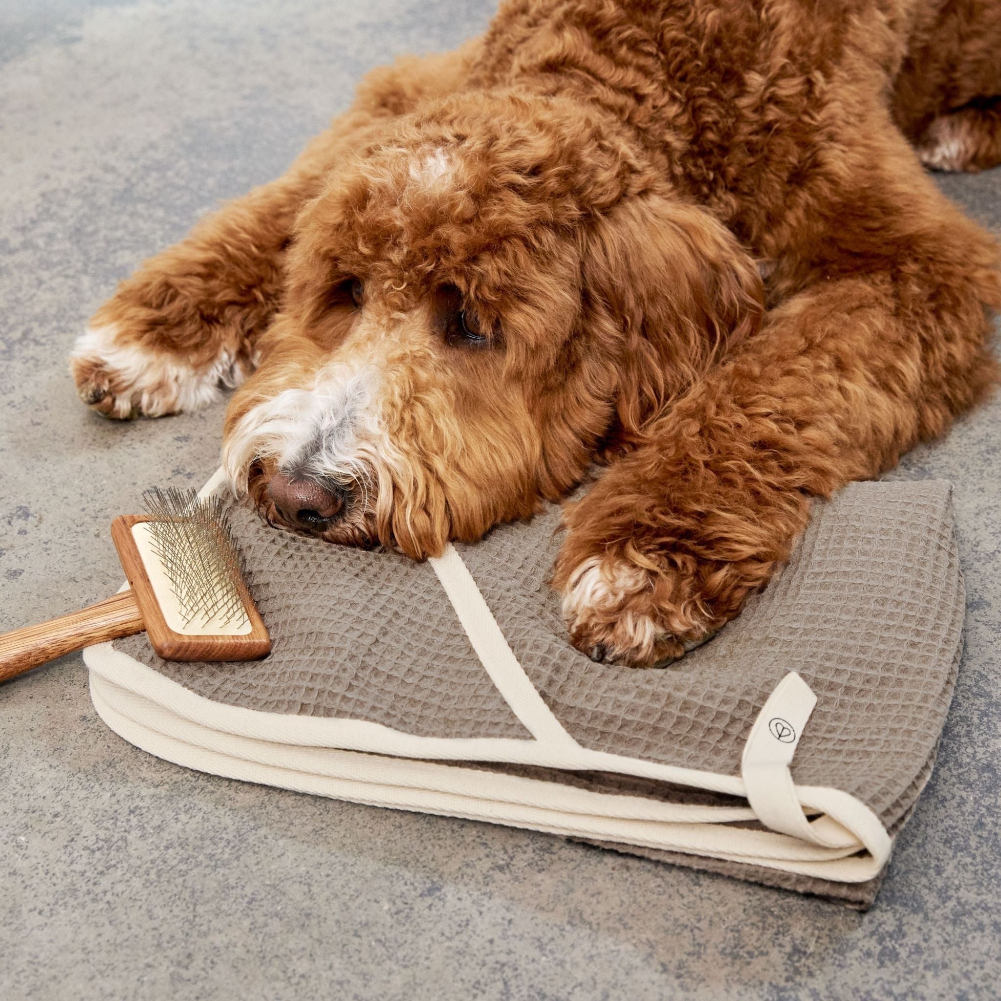 【3/11発売開始予定】ワッフル地ドッグタオル / Dog Towel Nobs | PALOPA Japan（パロパ）