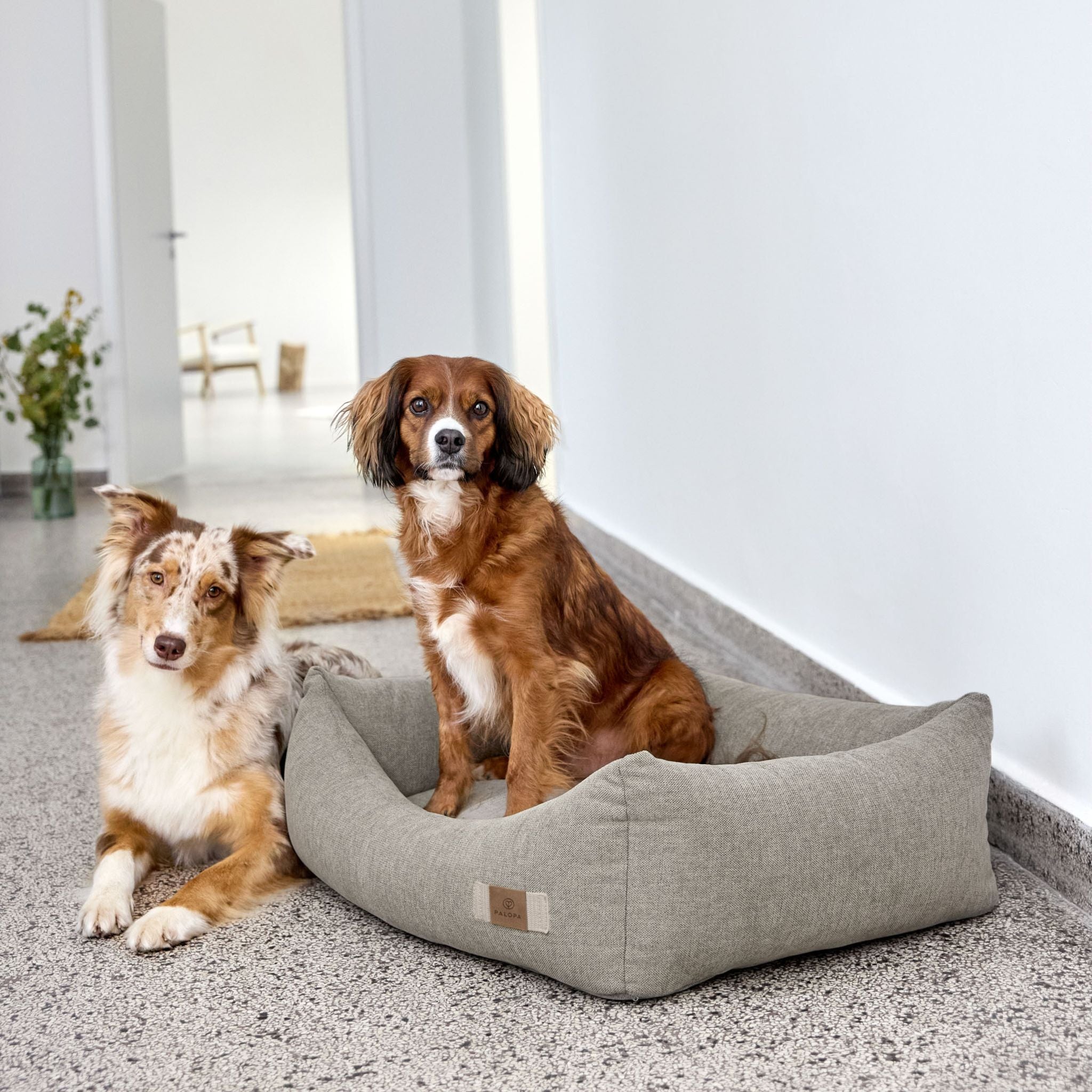 【7月中旬発売予定】犬用コットンベッド / Dog Bed Cotton | PALOPA Japan（パロパ）
