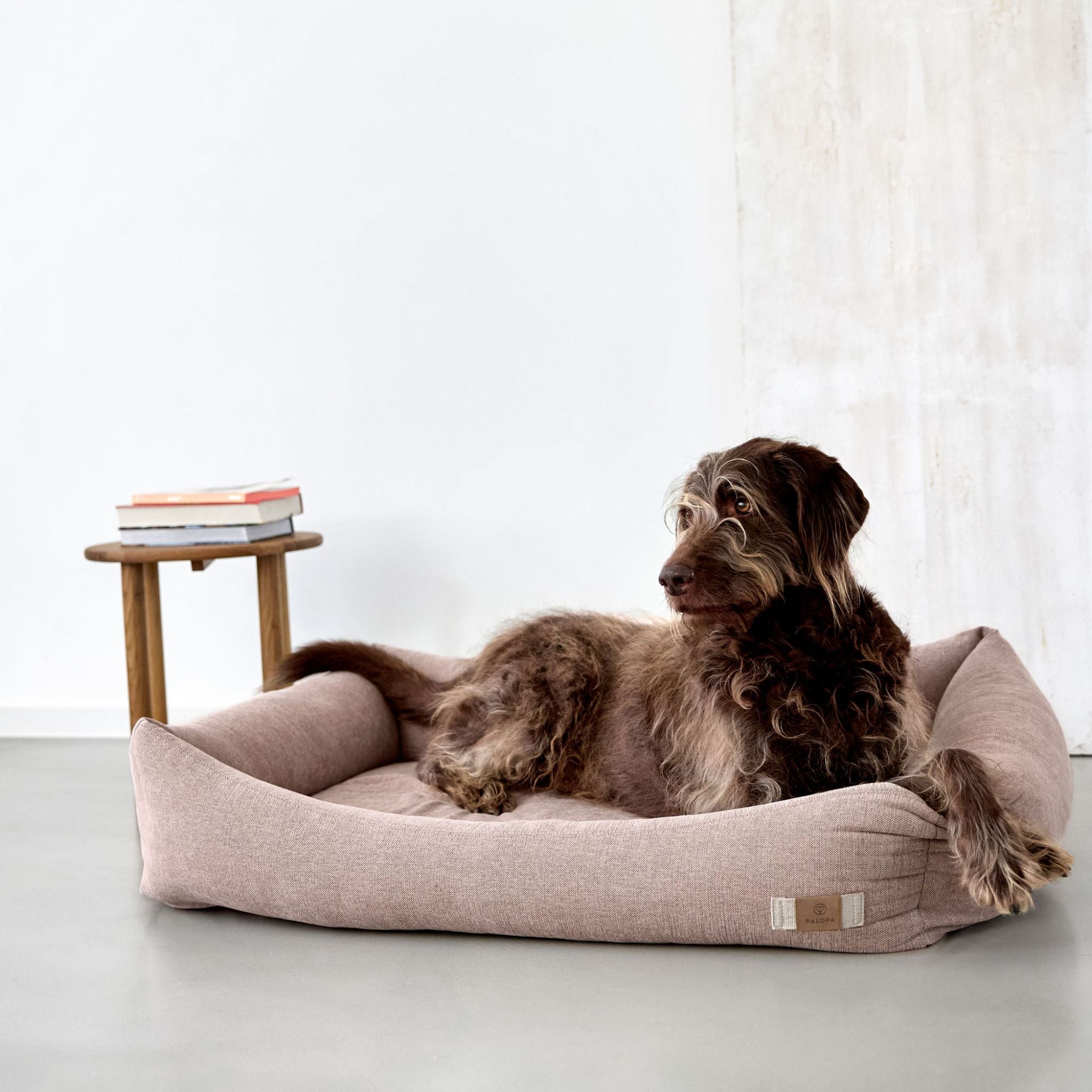 【7月中旬発売予定】犬用コットンベッド / Dog Bed Cotton | PALOPA Japan（パロパ）