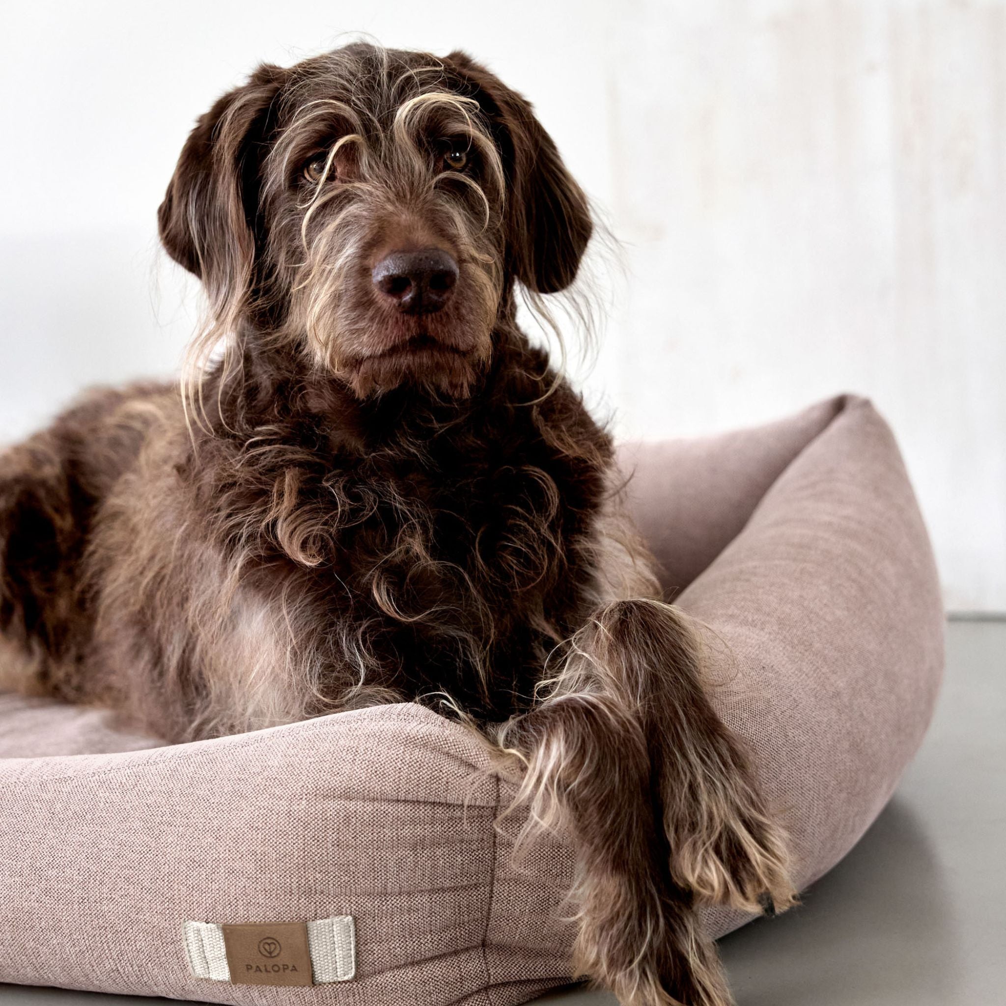 【7月中旬発売予定】犬用コットンベッド / Dog Bed Cotton | PALOPA Japan（パロパ）