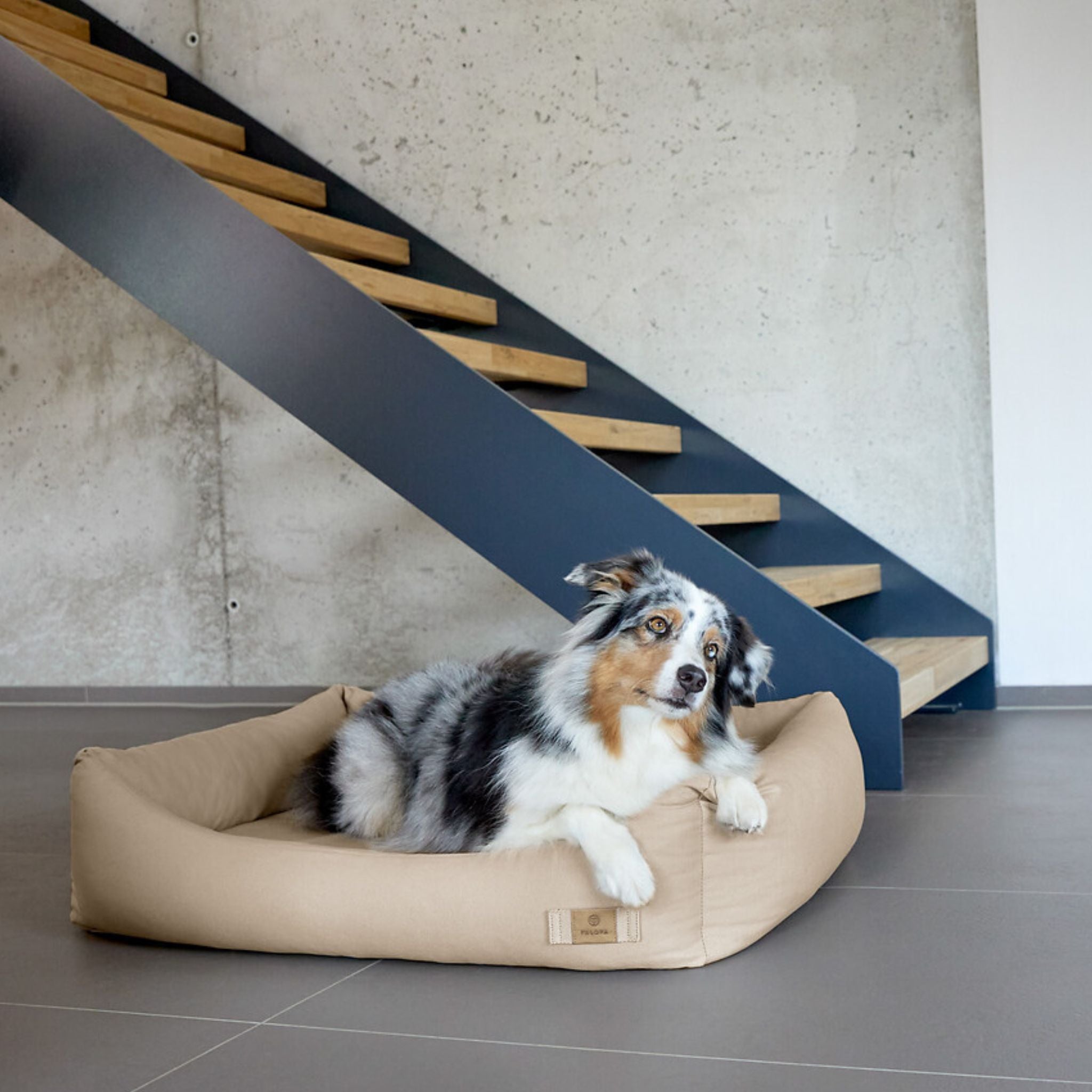 犬用コットンベッド /Dog Bed Cotton | PALOPA Japan（パロパ）