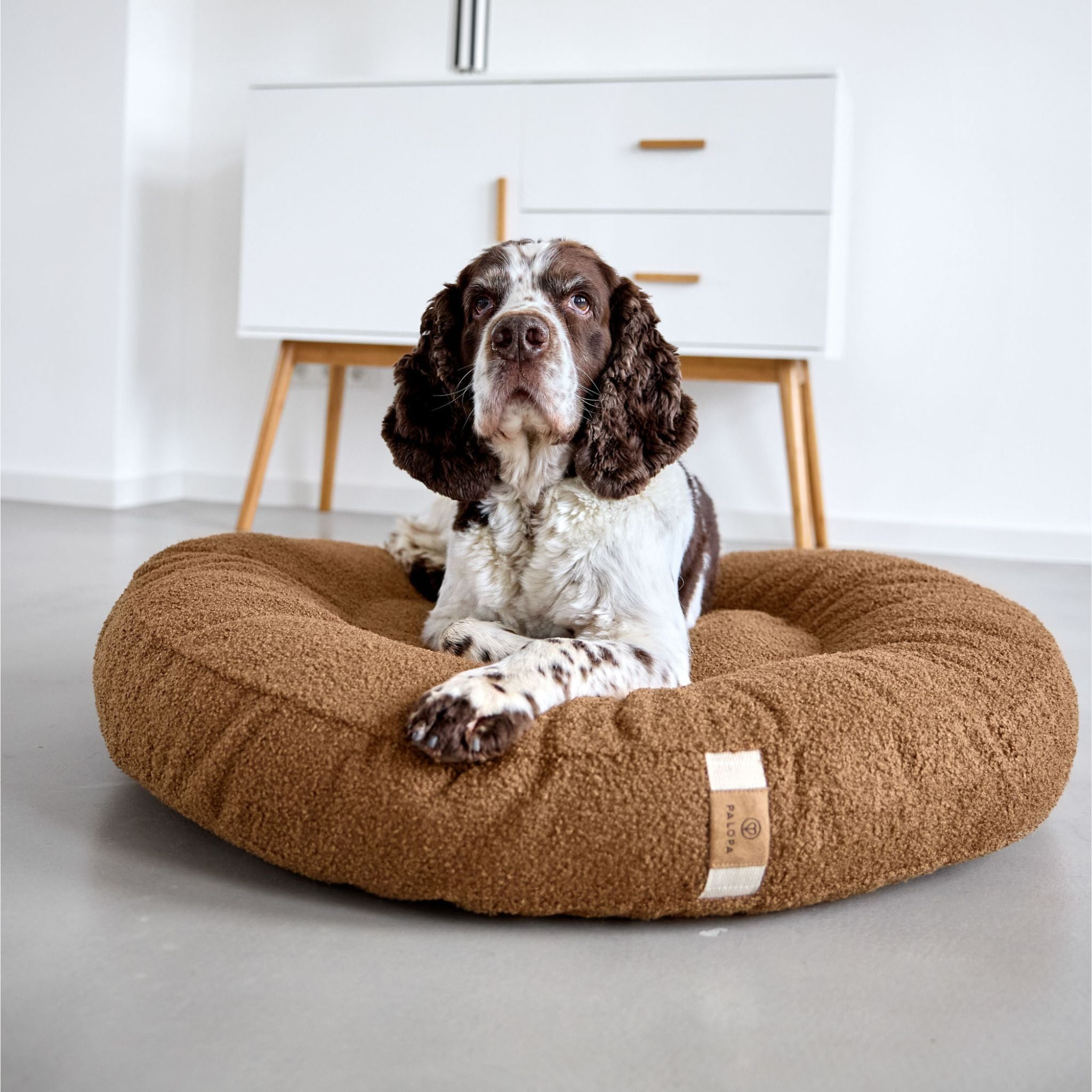 【発売開始前】丸型犬用ベッド / Dog Bed Donut | PALOPA Japan（パロパ）