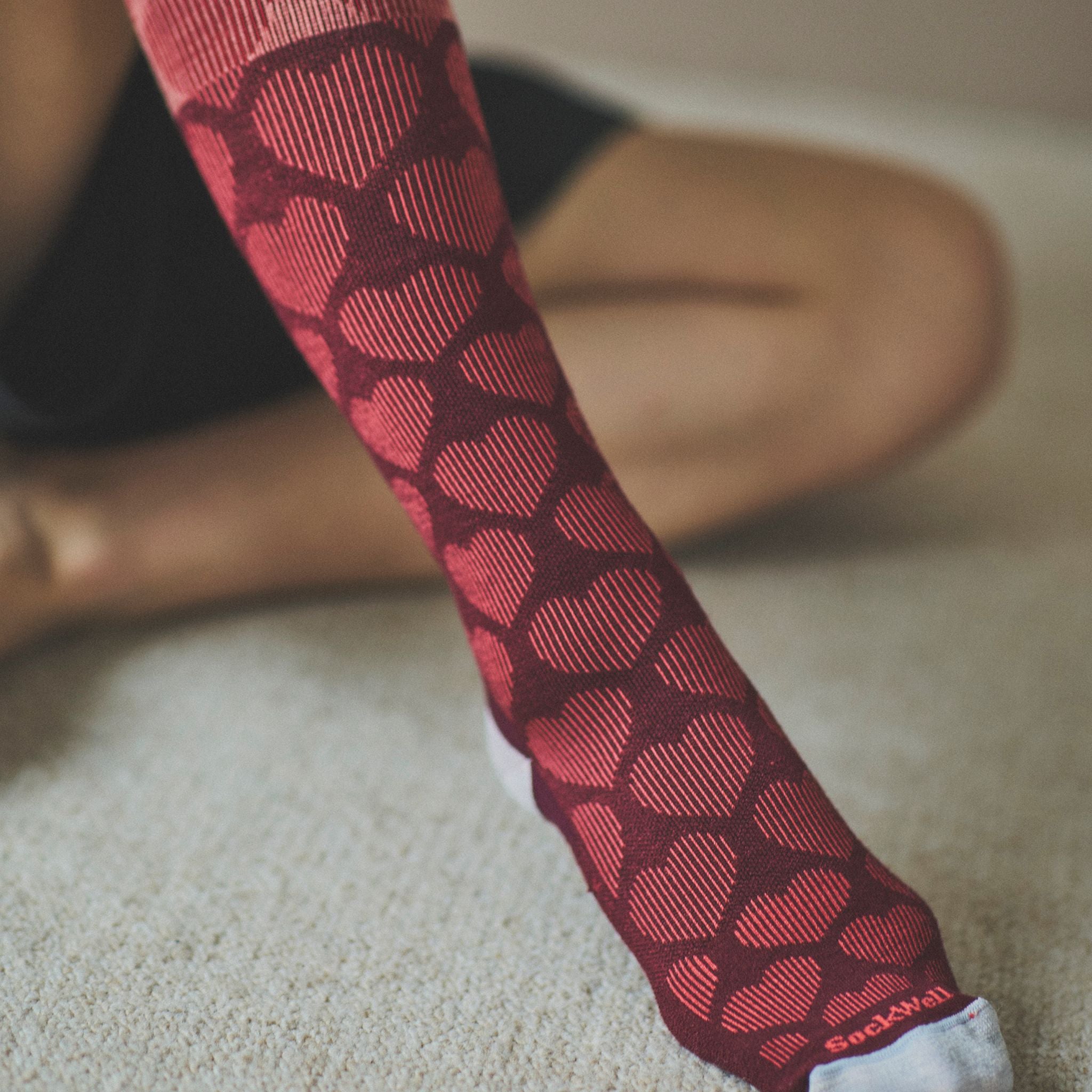 【sockwell26AW新作】[SW108W]HEART THROB　Ladies
