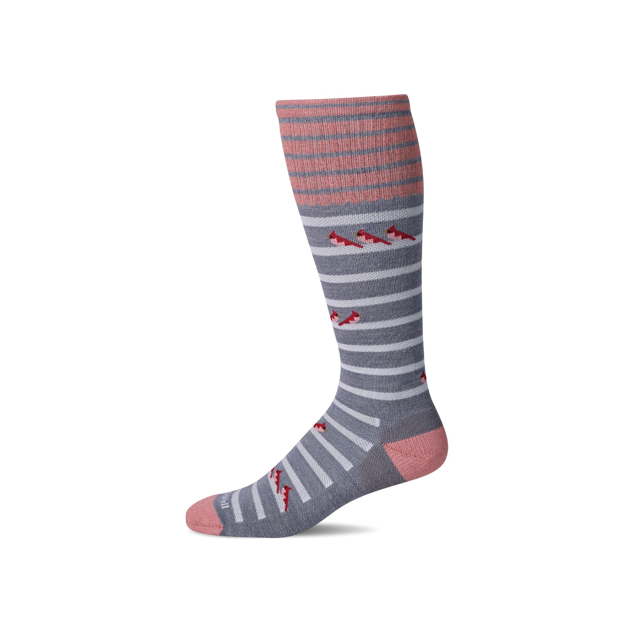 【sockwell26AW予約】[SW190W]CARDINALS　Ladies