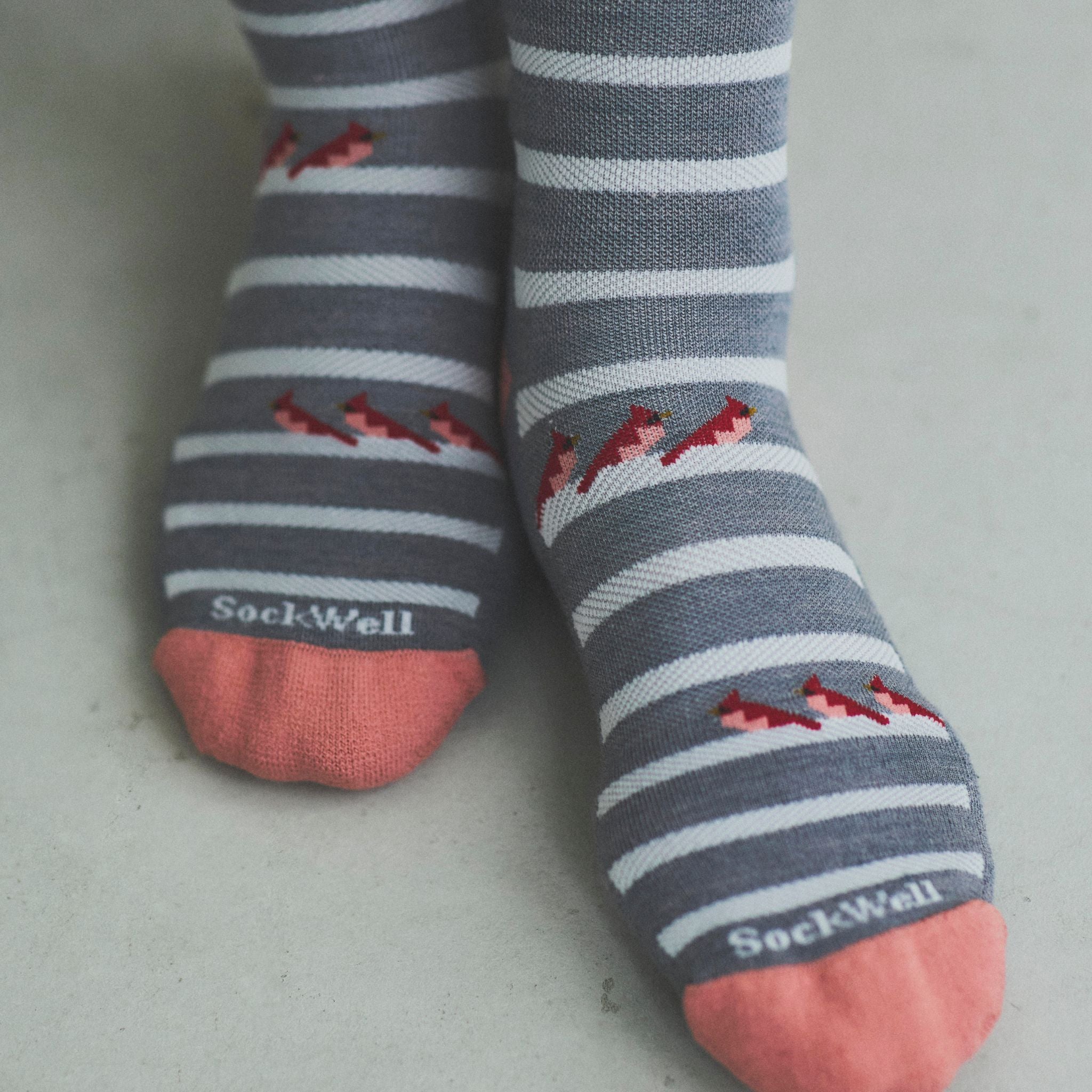 【sockwell26AW新作】[SW190W]CARDINALS　Ladies